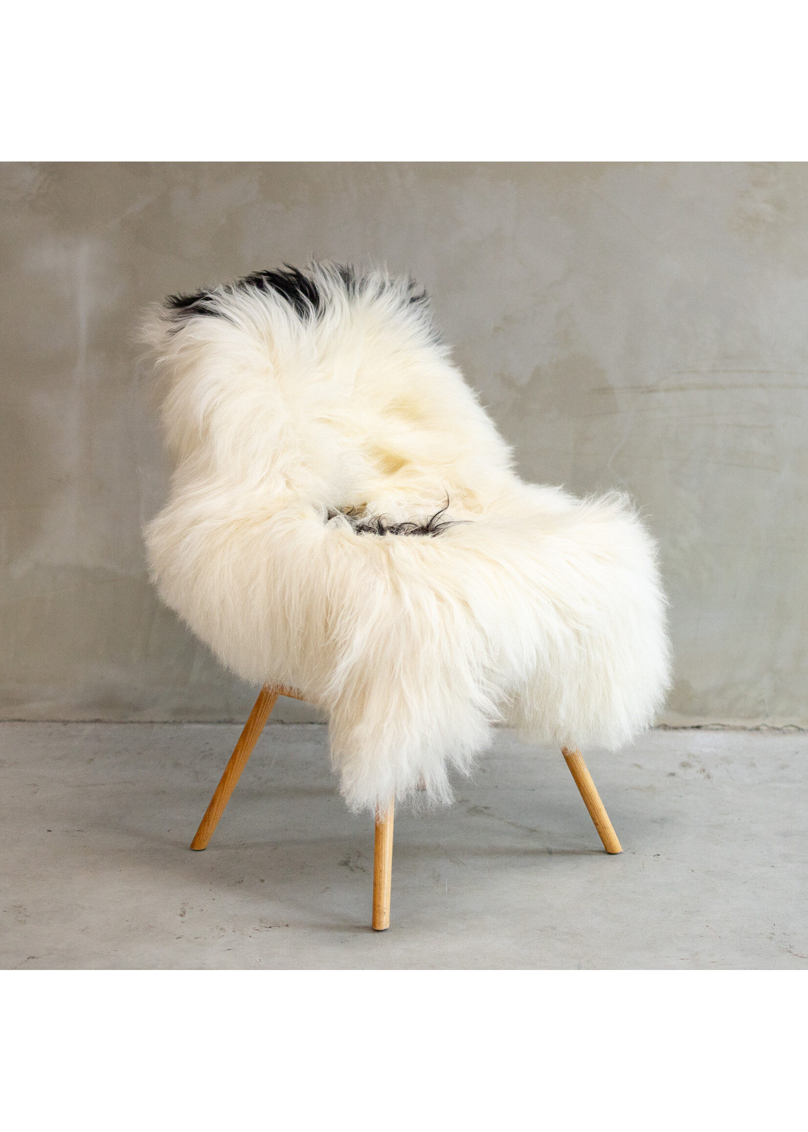 Van Buren sinds 1861 Uniquely Photographed Icelandic Black and white spotted Sheepskin approx. 110x80cm - SVV-615