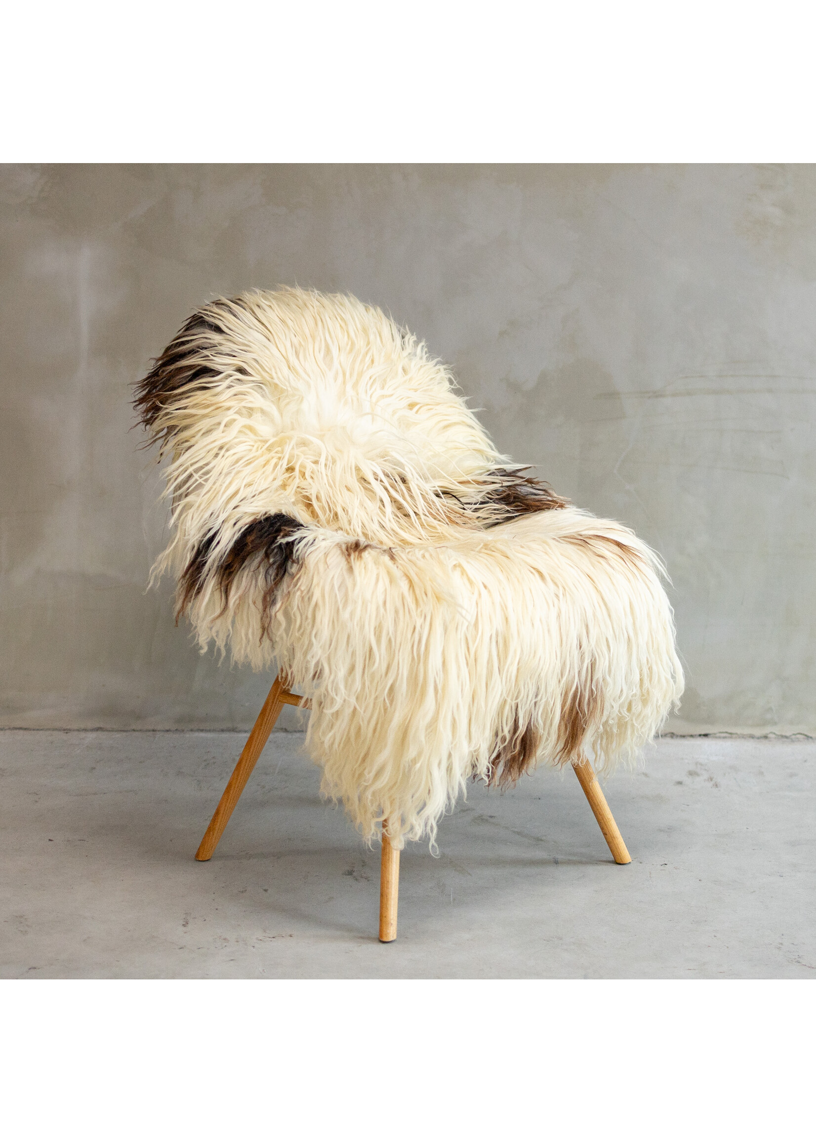 Van Buren sinds 1861 Uniek Gefotografeerd Krul/Bergschaap Gemêleerd Schapenvacht ca. 110x70cm - SVV-621