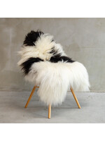 Van Buren sinds 1861 Unique Icelandic Black and white spotted Sheepskin - SVV-616