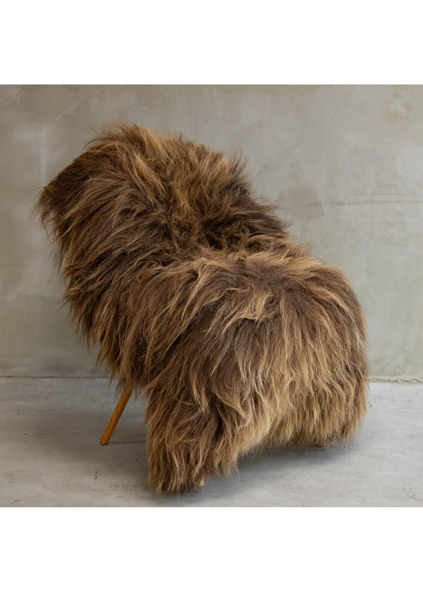 Van Buren sinds 1861 Einzigartig fotografiertes Isländisches rostbraunes Schaffell XXL ca. 150x100cm - SVV-614