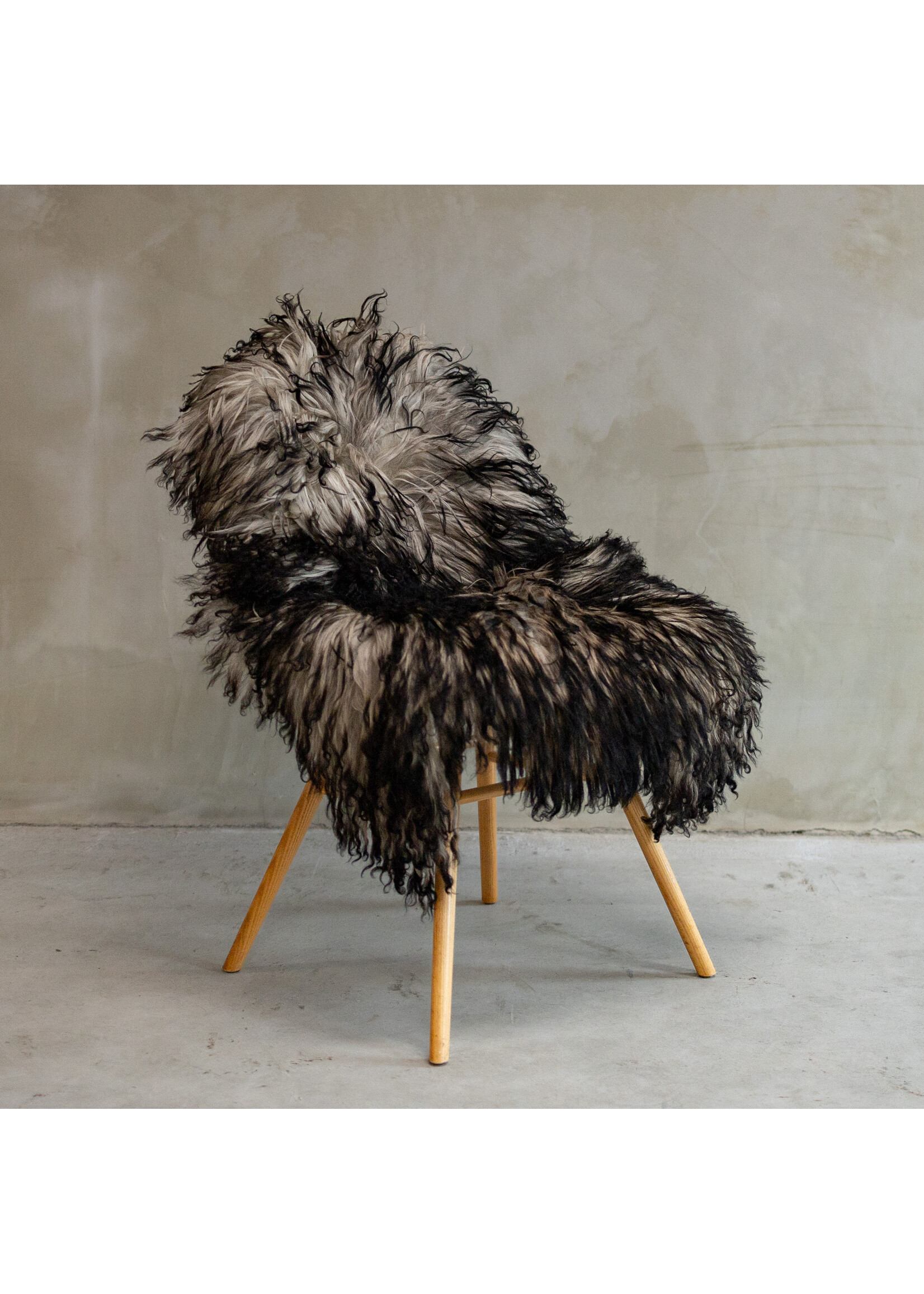 Van Buren sinds 1861 Uniek Gefotografeerd Krul/Bergschaap Grijs Schapenvacht ca. 114x70cm - SVV-610