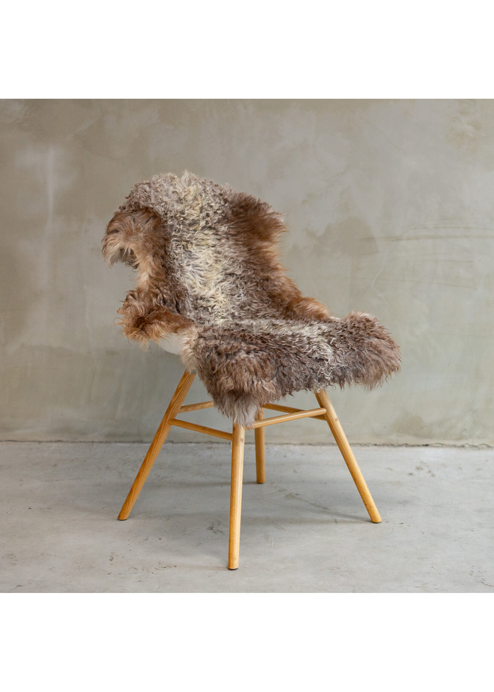 Van Buren sinds 1861 Einzigartig fotografiertes Tibetisches buntes Schaffell ca. 105x60cm - SVV-603