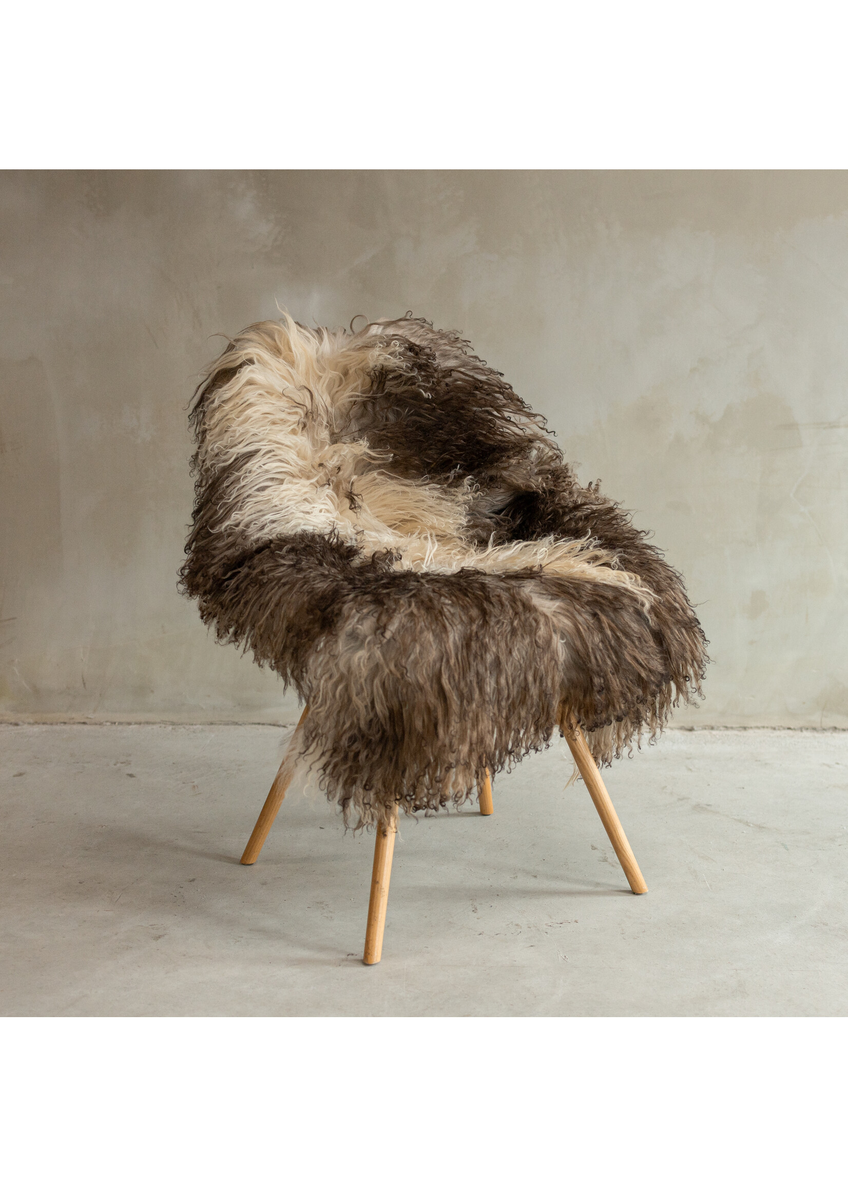 Van Buren sinds 1861 Uniek gefotografeerd Krul-/Bergschaap Gemêleerd Schapenvacht - ca. 120x67cm - SVV-643