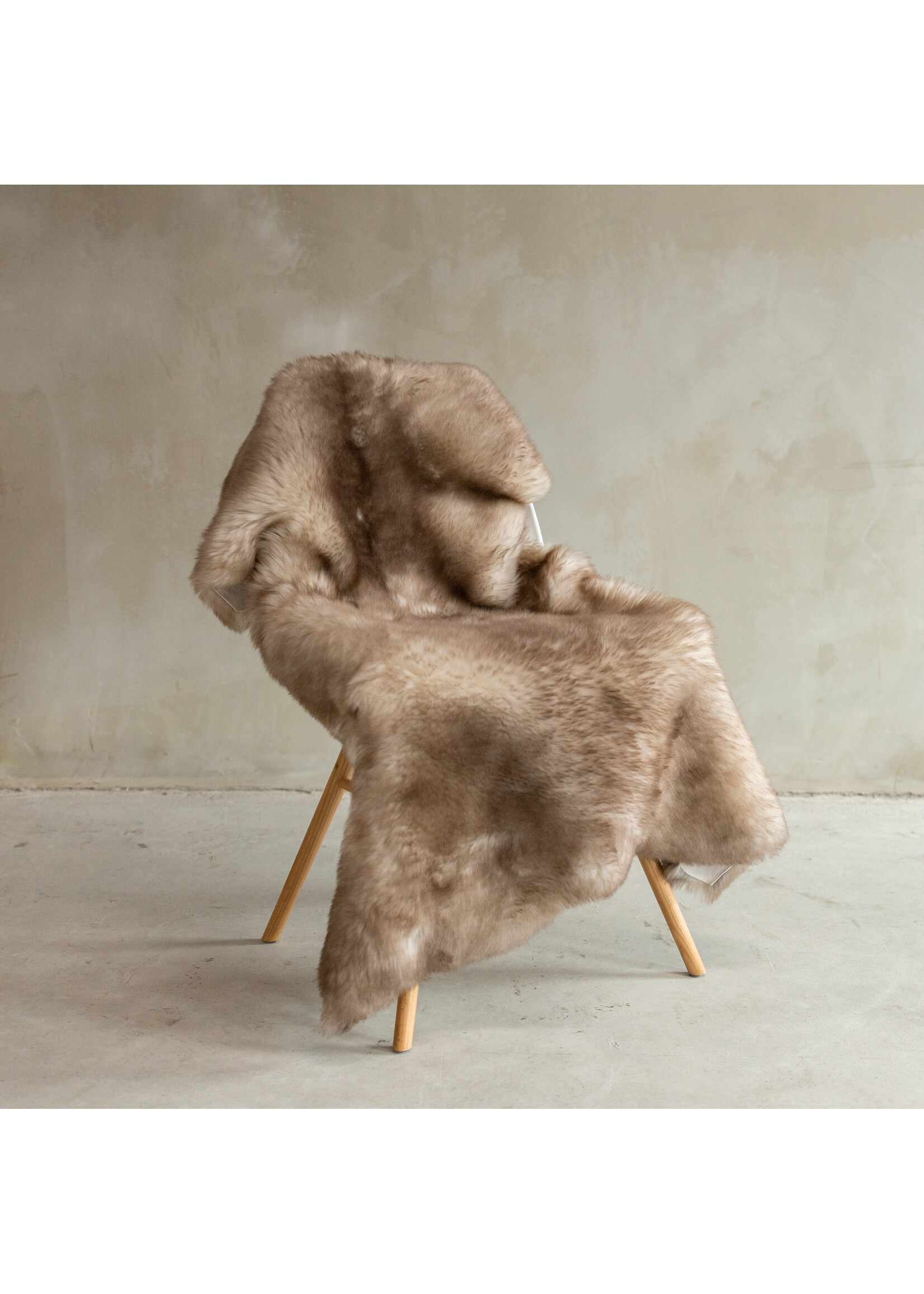 Van Buren sinds 1861 Unique Photographed German Blackhead Sheepskin XXL - approx. 132x70cm - SVV-637