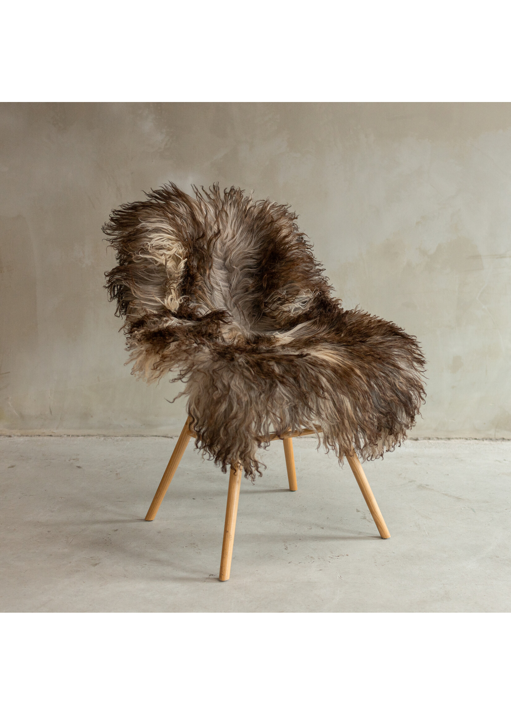 Van Buren sinds 1861 Unique Photographed Curly/Mountain Sheep Melange Sheepskin - approx. 102x62cm - SVV-642