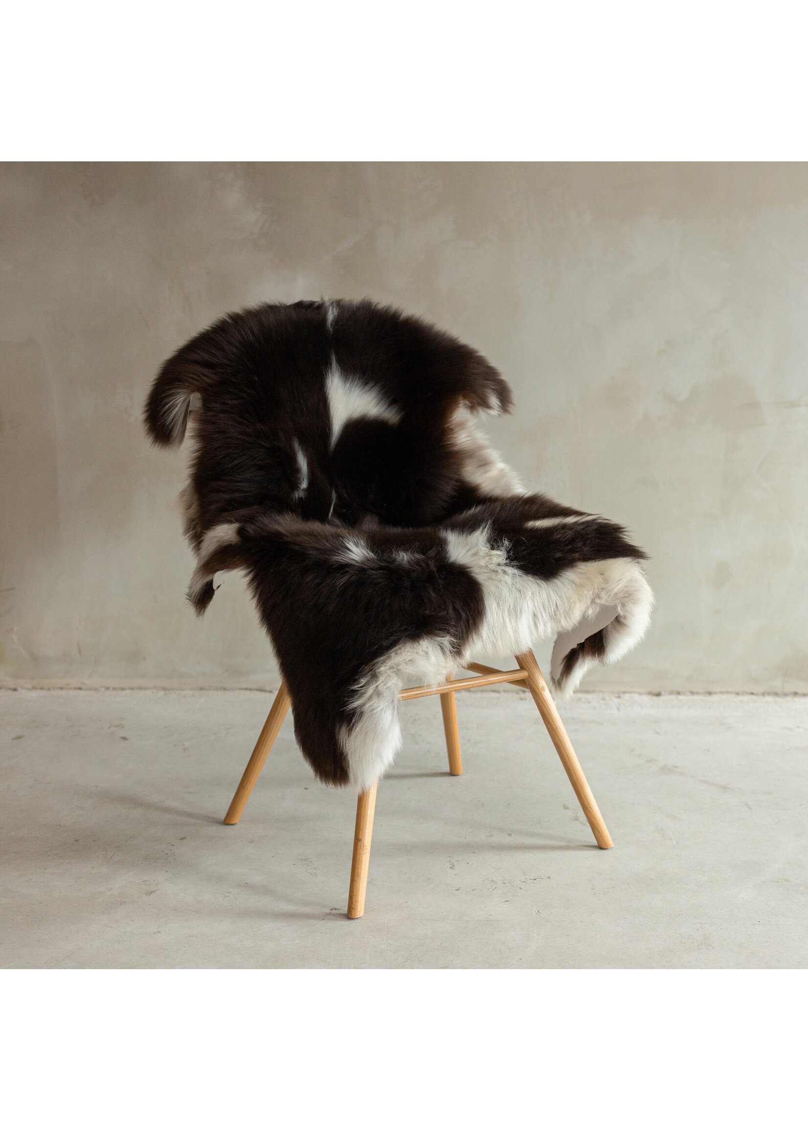 Van Buren sinds 1861 Unique Photographed Texel Melange Sheepskin XXL - approx. 130x73cm - SVV-671