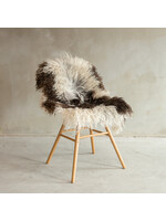 Van Buren sinds 1861 Unique Curly/Mountain Sheep Sheepskin - SVV-663