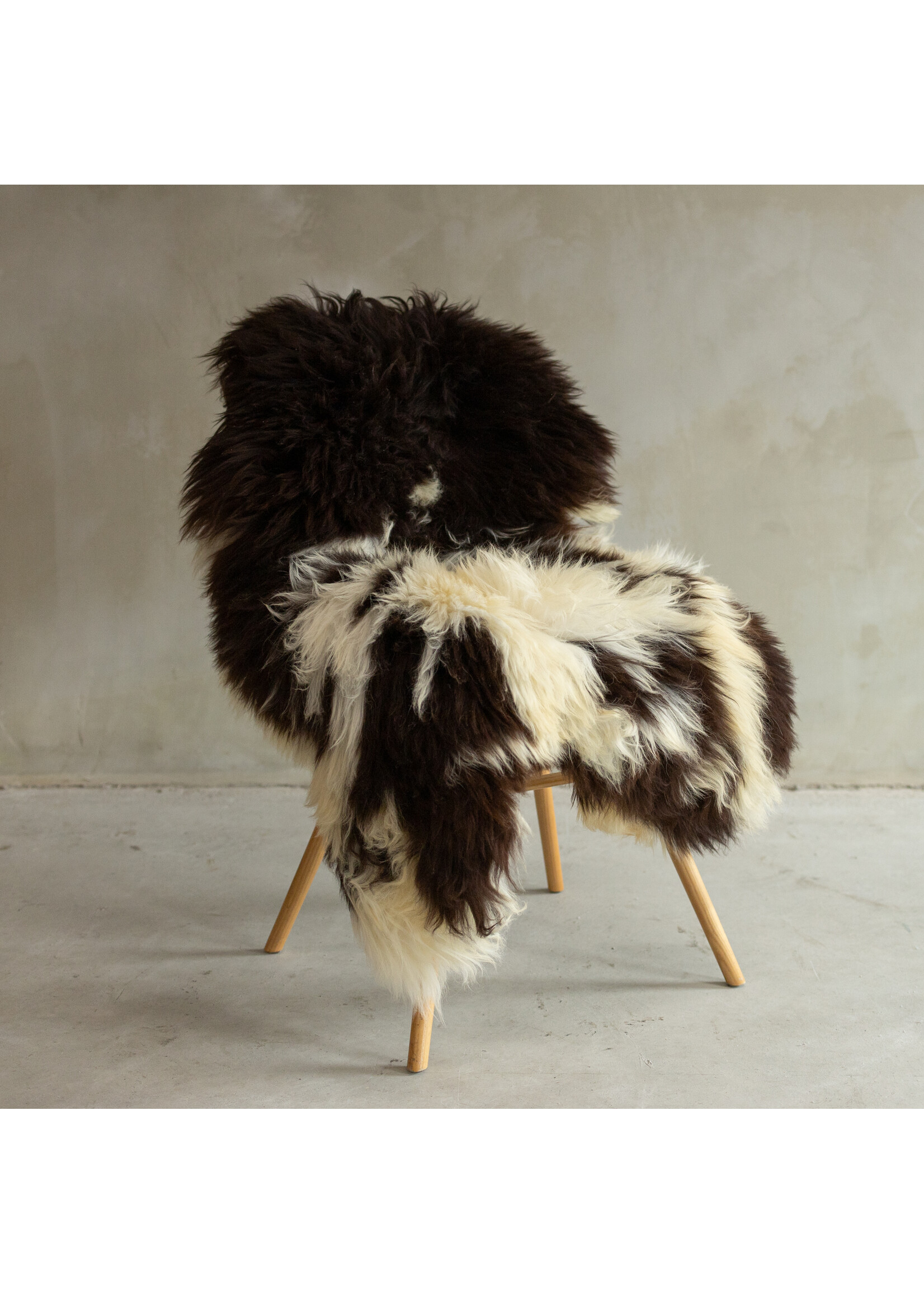 Van Buren sinds 1861 Einzigartig fotografiertes Texeler Geflecktes Schaffell XXL - ca. 123x70cm - SVV-631