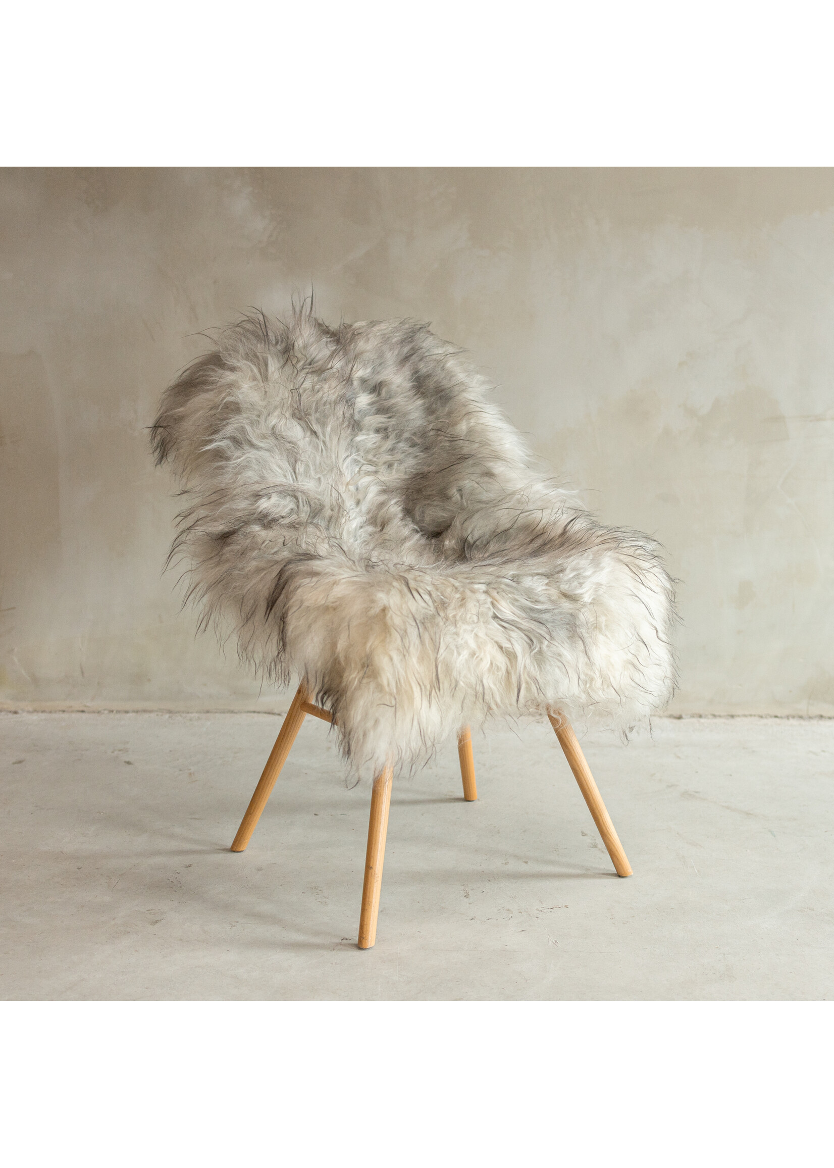 Van Buren sinds 1861 Einzigartig fotografiertes Isländisches Naturgraues Schaffell - ca. 128x77cm - SVV-654