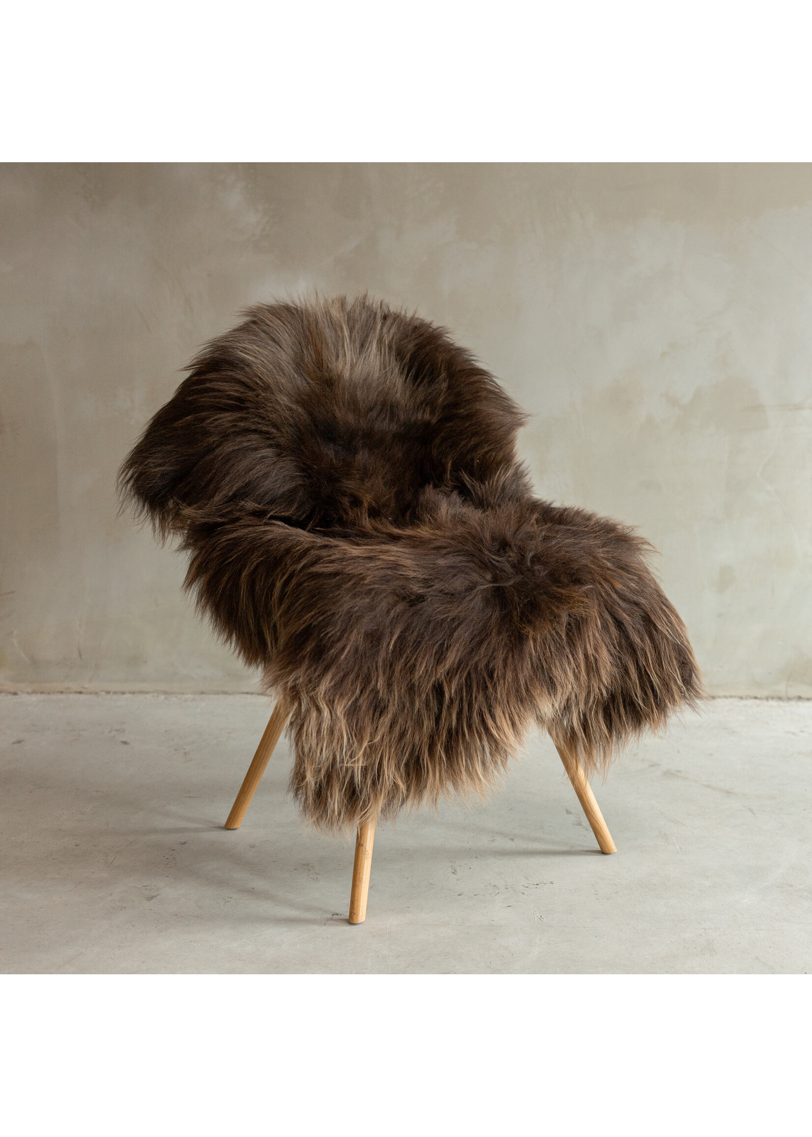 Van Buren sinds 1861 Einzigartig fotografiertes Isländisches Braunes Schaffell XXL - ca. 135x82cm - SVV-656