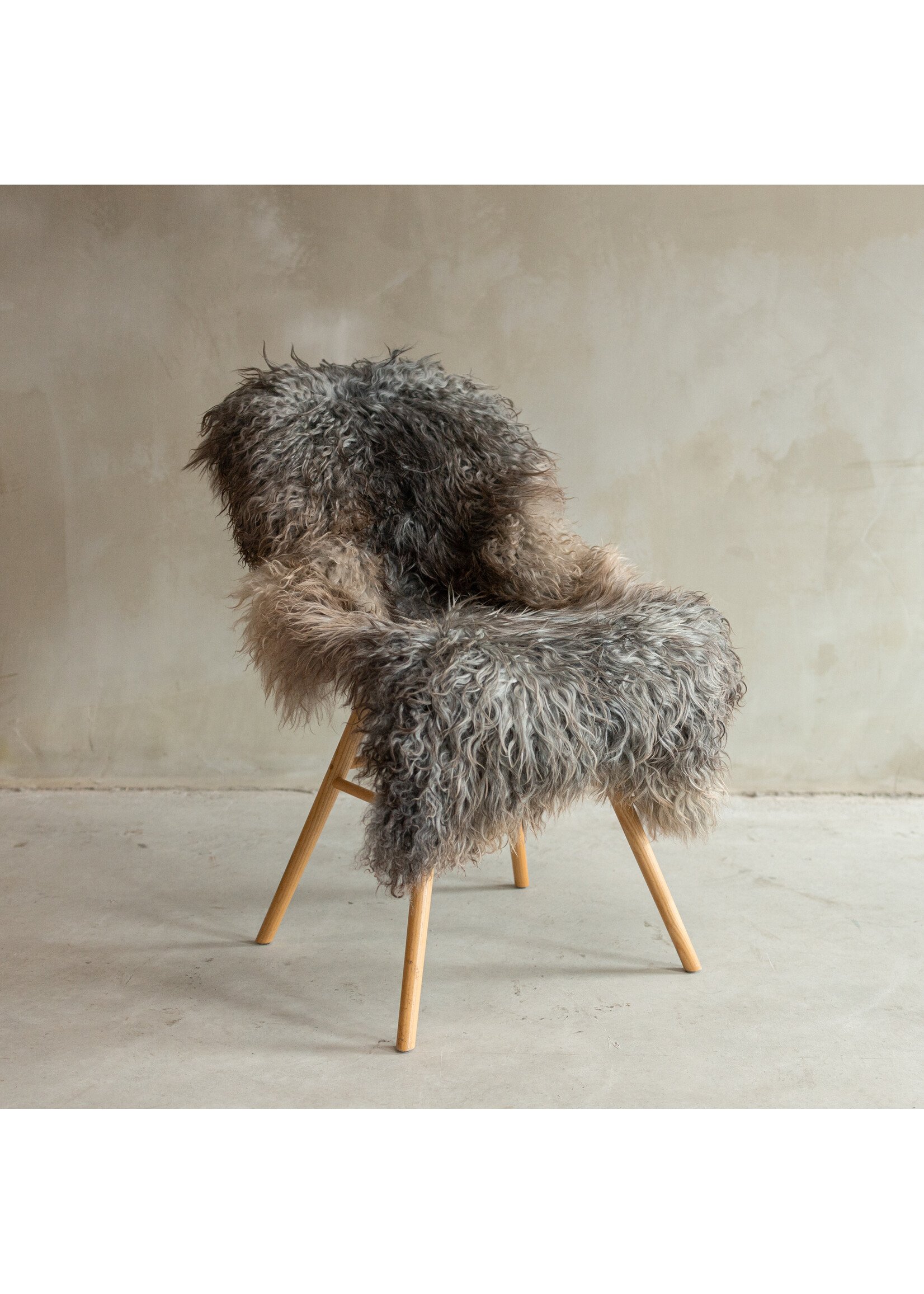 Van Buren sinds 1861 Unique Photographed Gotland Natural Gray Sheepskin - approx. 123x70cm - SVV-653