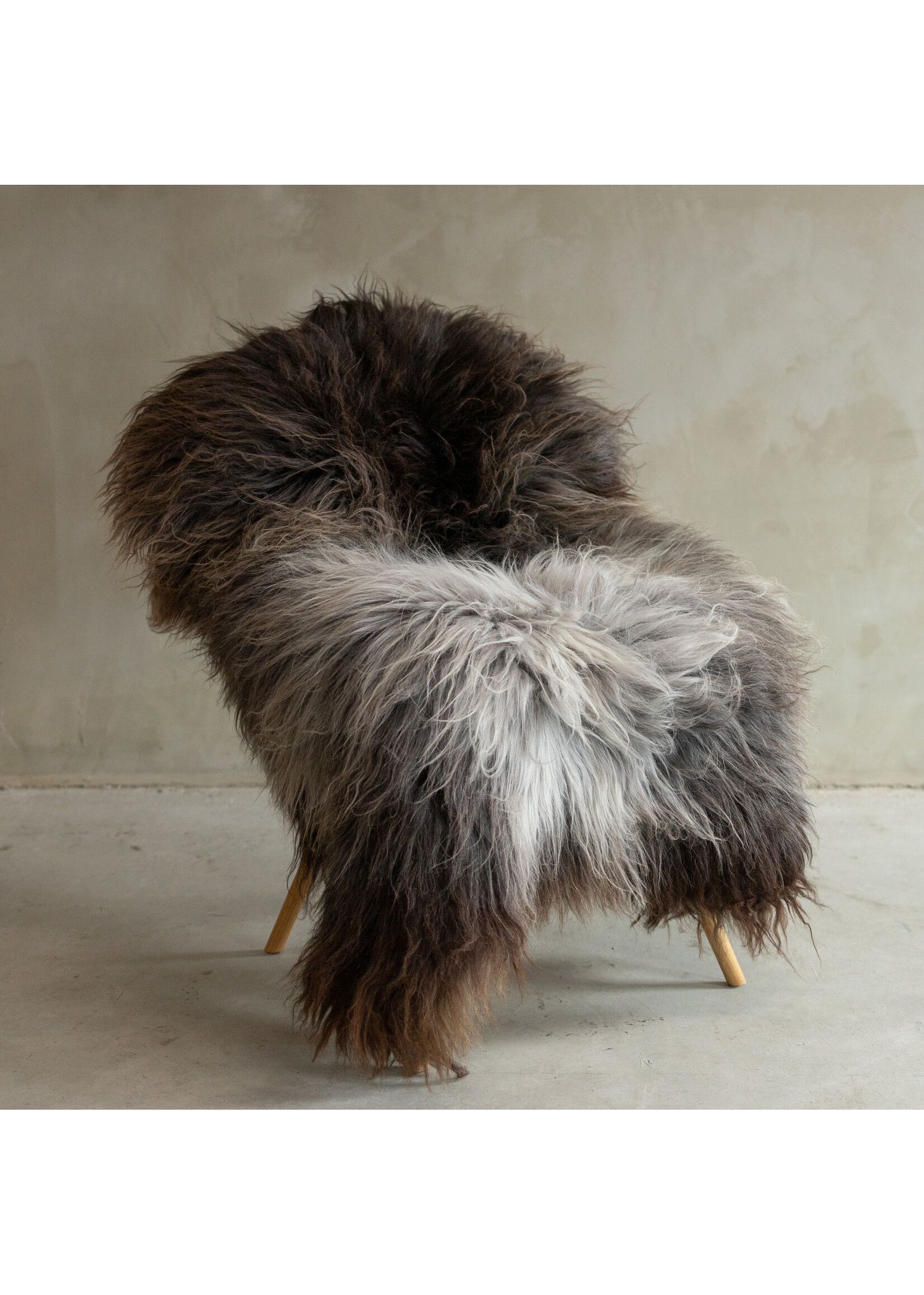 Van Buren sinds 1861 Unique Photographed Blue Texel Sheepskin XXL - approx. 140x87cm - SVV-632