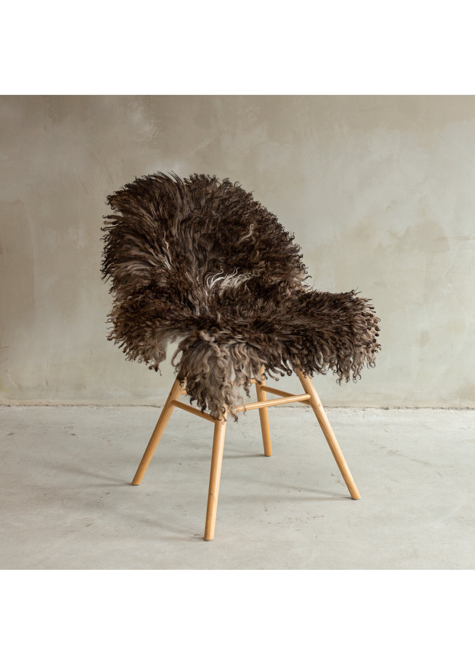 Van Buren sinds 1861 Unique Photographed Curly/Mountain Sheep Melange Sheepskin - approx. 110x62cm - SVV-662