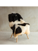 Van Buren sinds 1861 Uniek Texels Schapenvacht XXL - SVV-672