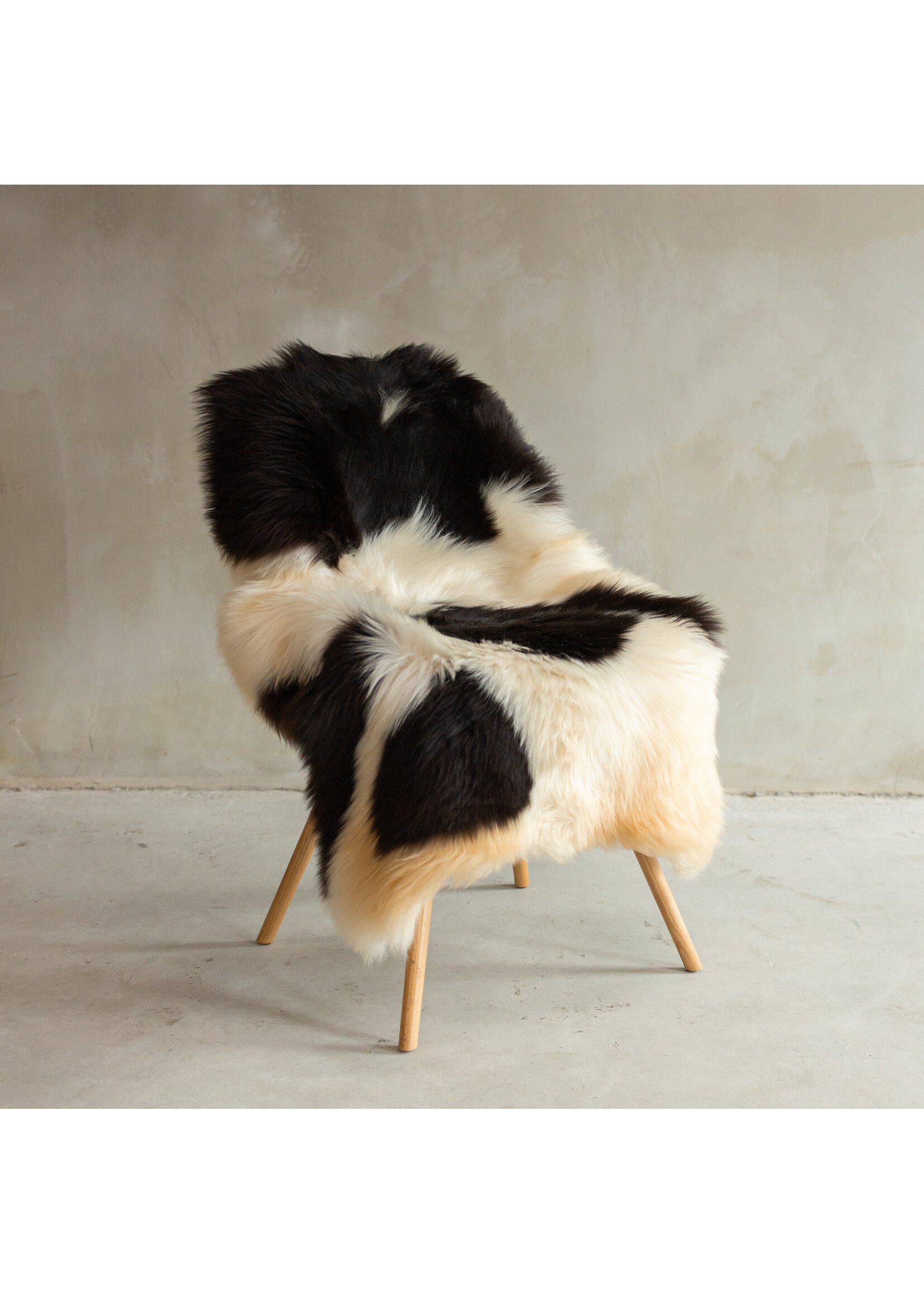 Van Buren sinds 1861 Unique Photographed Texel Melange Sheepskin XXL - approx. 126x75cm - SVV-672