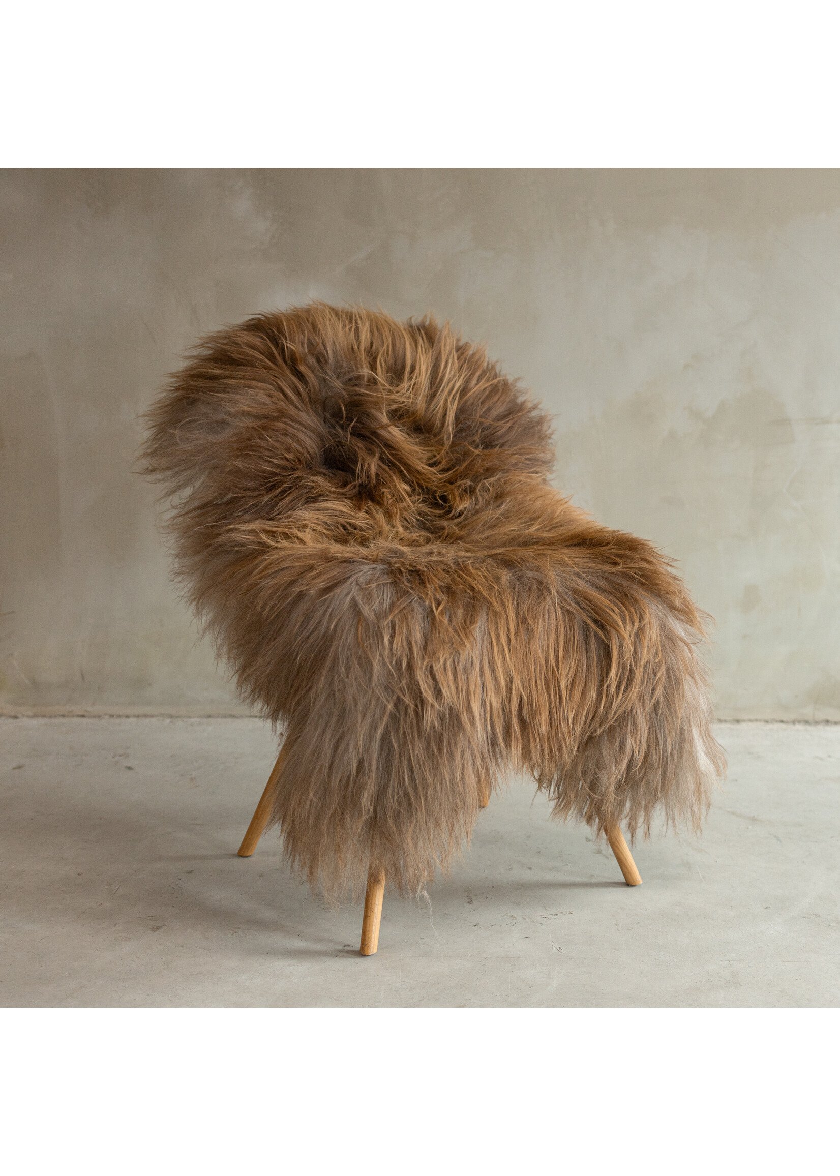 Van Buren sinds 1861 Unique Photographed Icelandic Light Rust Brown Sheepskin - approx. 112x75cm - SVV-644
