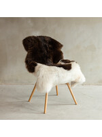 Van Buren sinds 1861 Unique Texel Sheepskin XXL - SVV-674