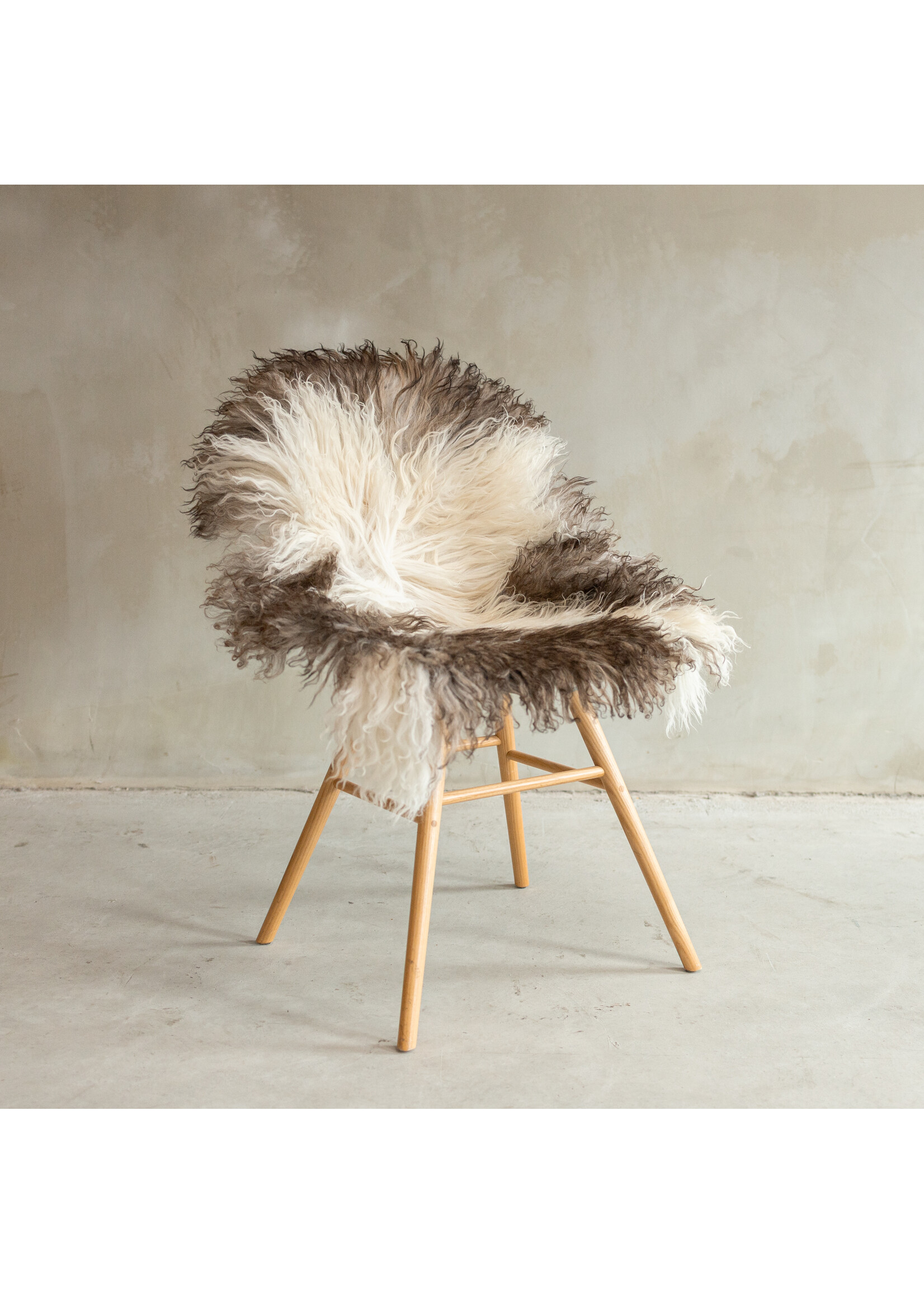 Van Buren sinds 1861 Unique Photographed Curly/Mountain Sheep Melange Sheepskin - approx. 100x55cm - SVV-661