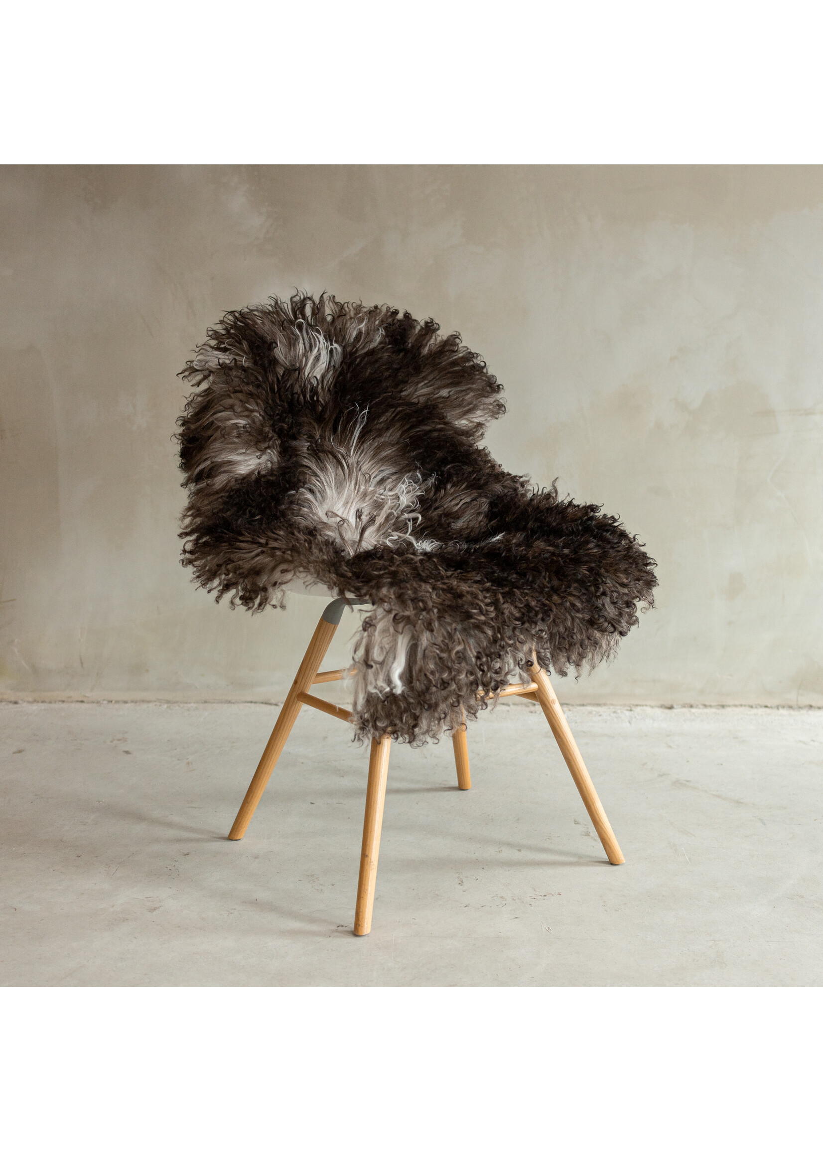 Van Buren sinds 1861 Unique Photographed Curly/Mountain Sheep Melange Sheepskin - approx. 107x63cm - SVV-665