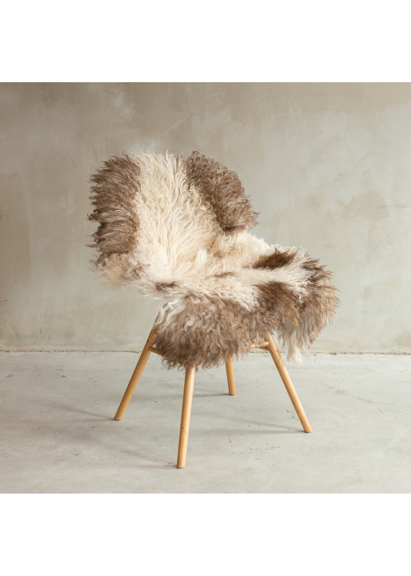 Van Buren sinds 1861 Einzigartig fotografiertes Locken-/Bergschaf Mélierte Schaffell - ca. 102x68cm - SVV-659