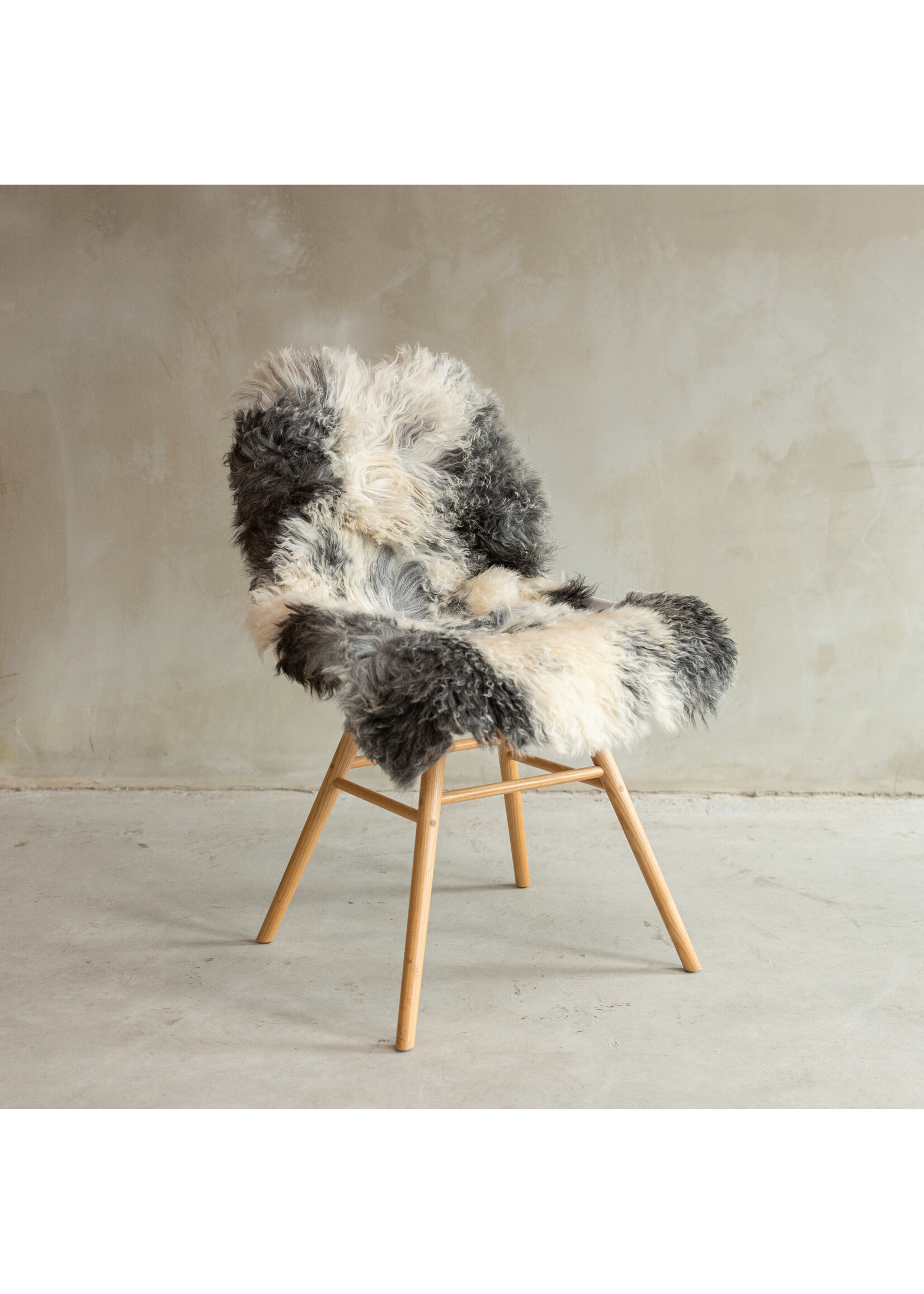 Van Buren sinds 1861 Unique Photographed Tibetan Natural Gray Sheepskin - approx. 106x75cm - SVV-650