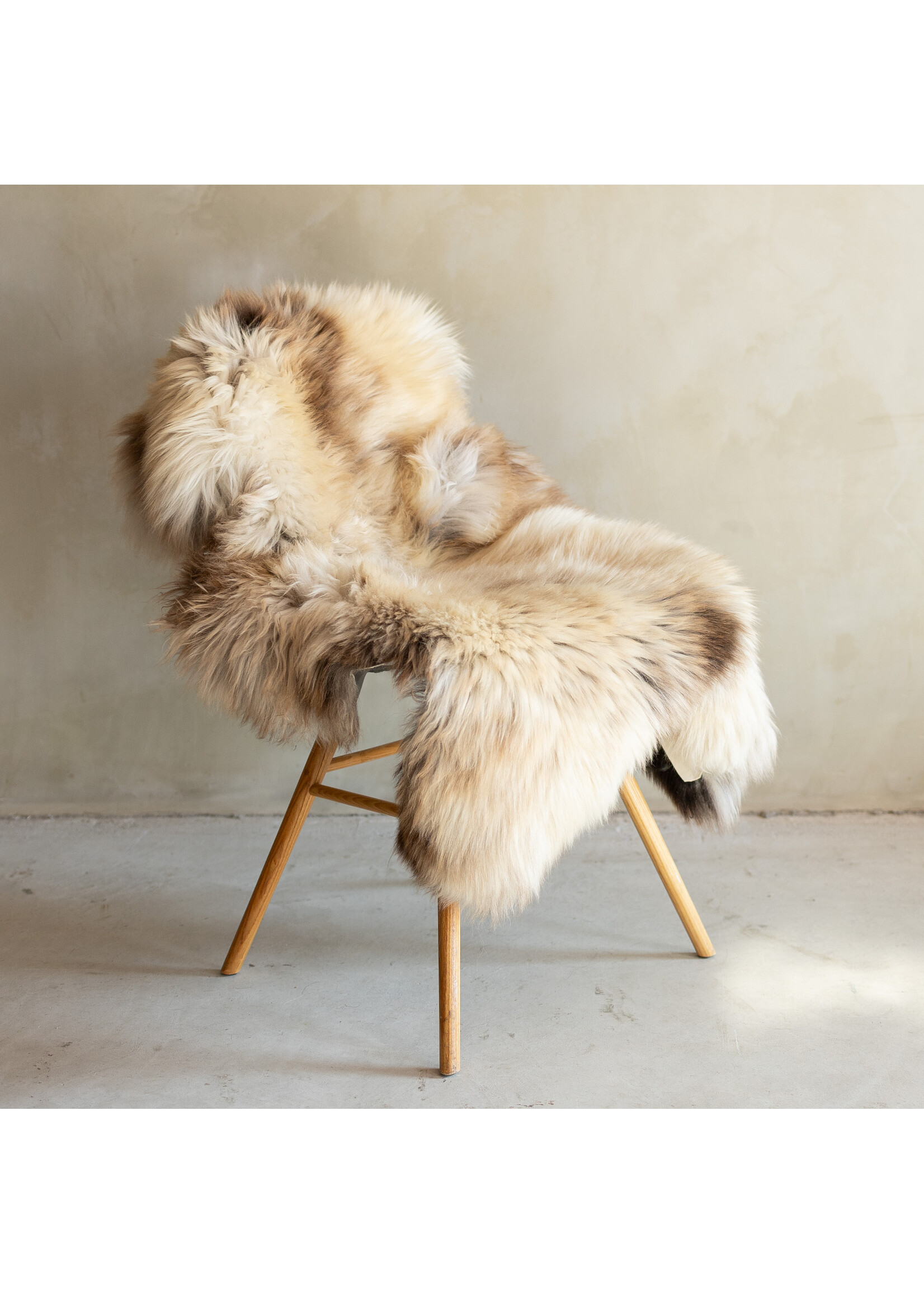 Van Buren sinds 1861 Uniek Gefotografeerd Schapenvacht Gemêleerd XXL - 127x70 - SVV-719