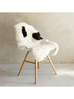 Van Buren sinds 1861 Unikat geschorenes isländisches Schaffell Bunt - SVV-703