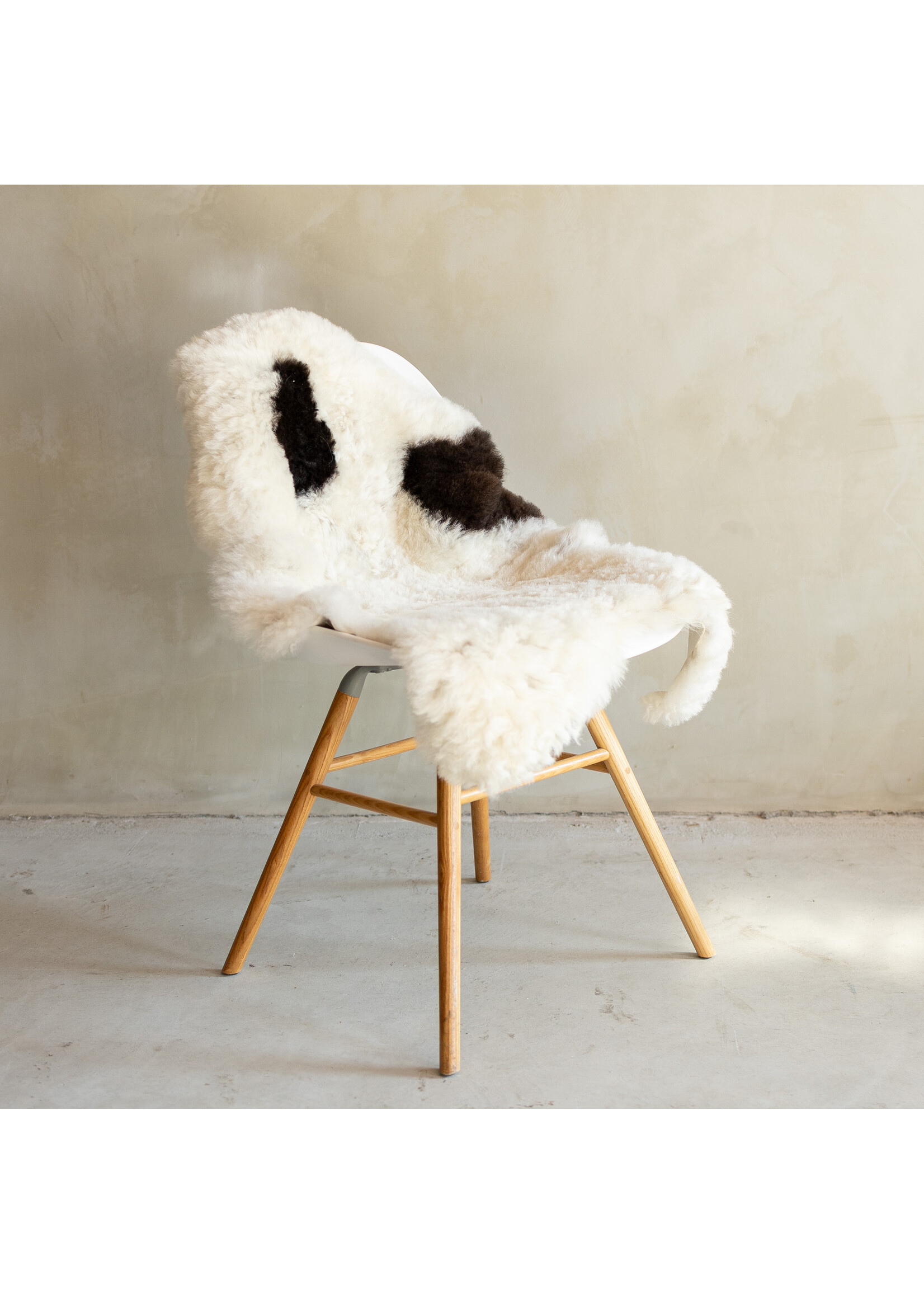 Van Buren sinds 1861 Uniek Gefotografeerd Geschoren IJslands Schapenvacht Bont - 134x74 - SVV-703