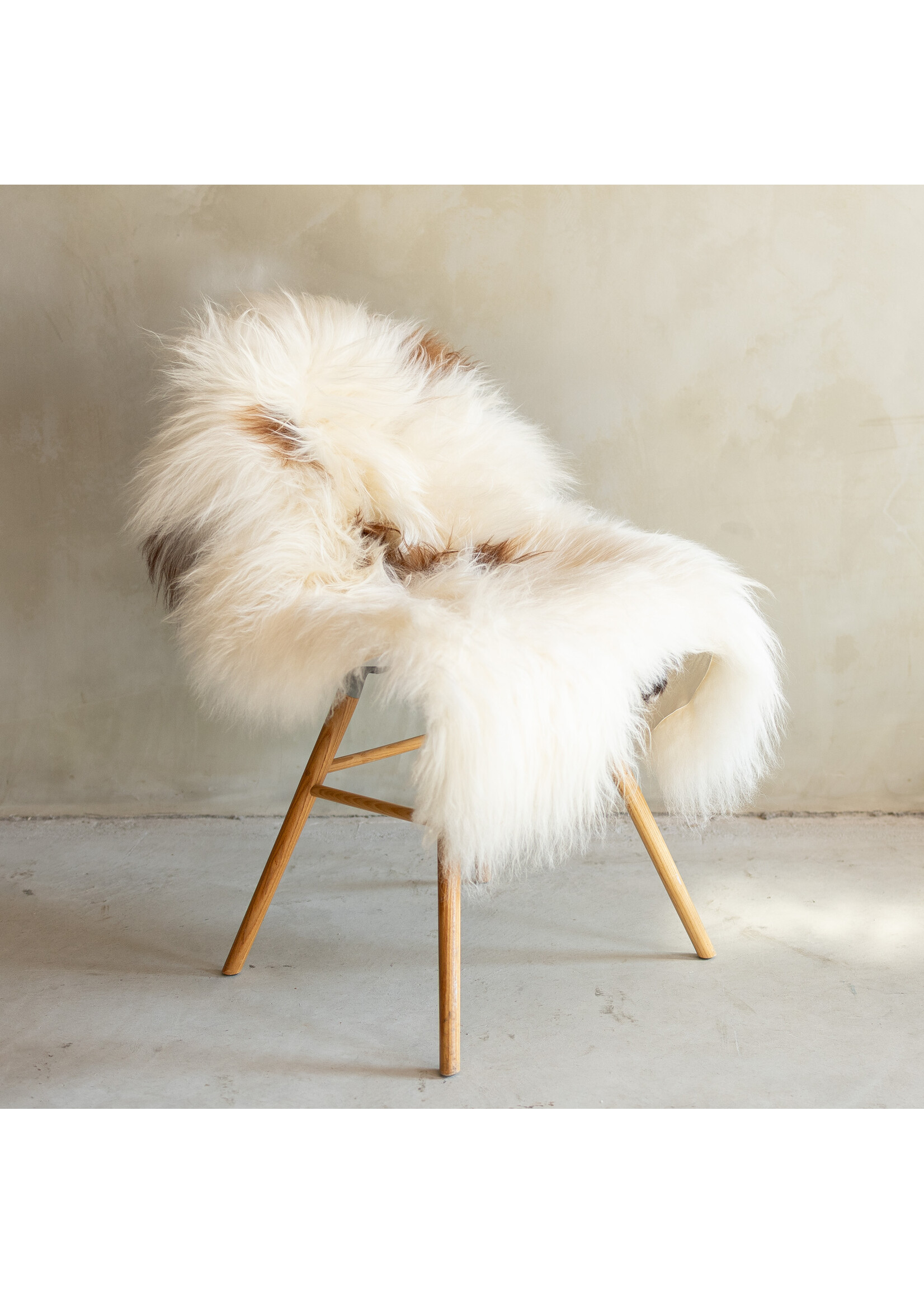 Van Buren sinds 1861 Uniek Gefotografeerd IJslands Schapenvacht Bruin Bont - 114x65 - SVV-692