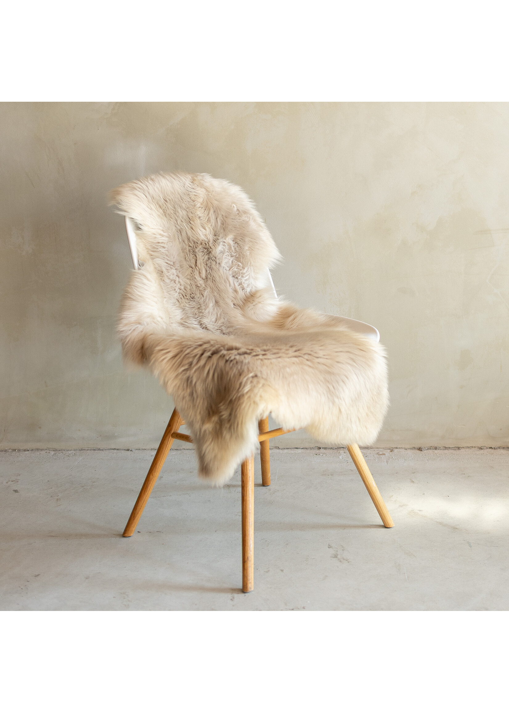 Van Buren sinds 1861 Einzeln fotografiertes deutsches Schwarzkopf-Schaffell - 111x57 - SVV-694