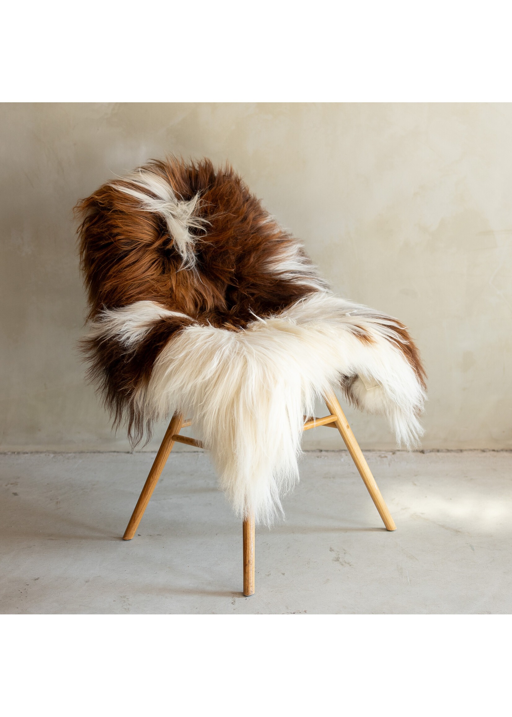 Van Buren sinds 1861 Uniek Gefotografeerd IJslands Schapenvacht Bruin Bont - 113x82 - SVV-690