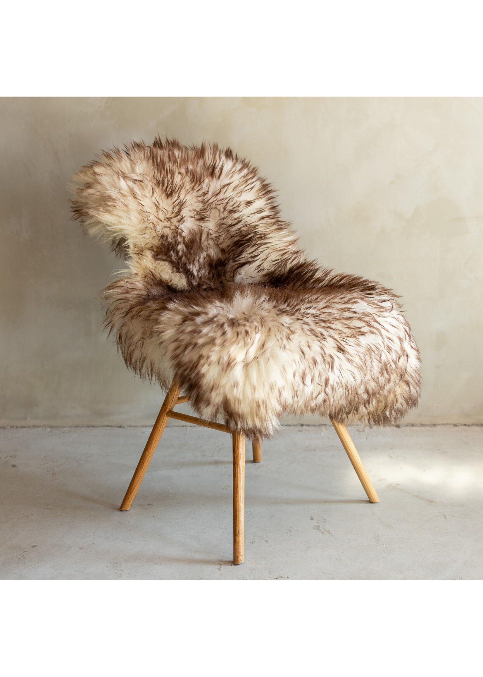 Van Buren sinds 1861 Einzeln fotografiertes Mouflon-Schaffell GR S - 123x74 - SVV-683