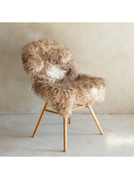 Van Buren sinds 1861 Uniek Krul/Bergschaap Schapenvacht - SVV-727