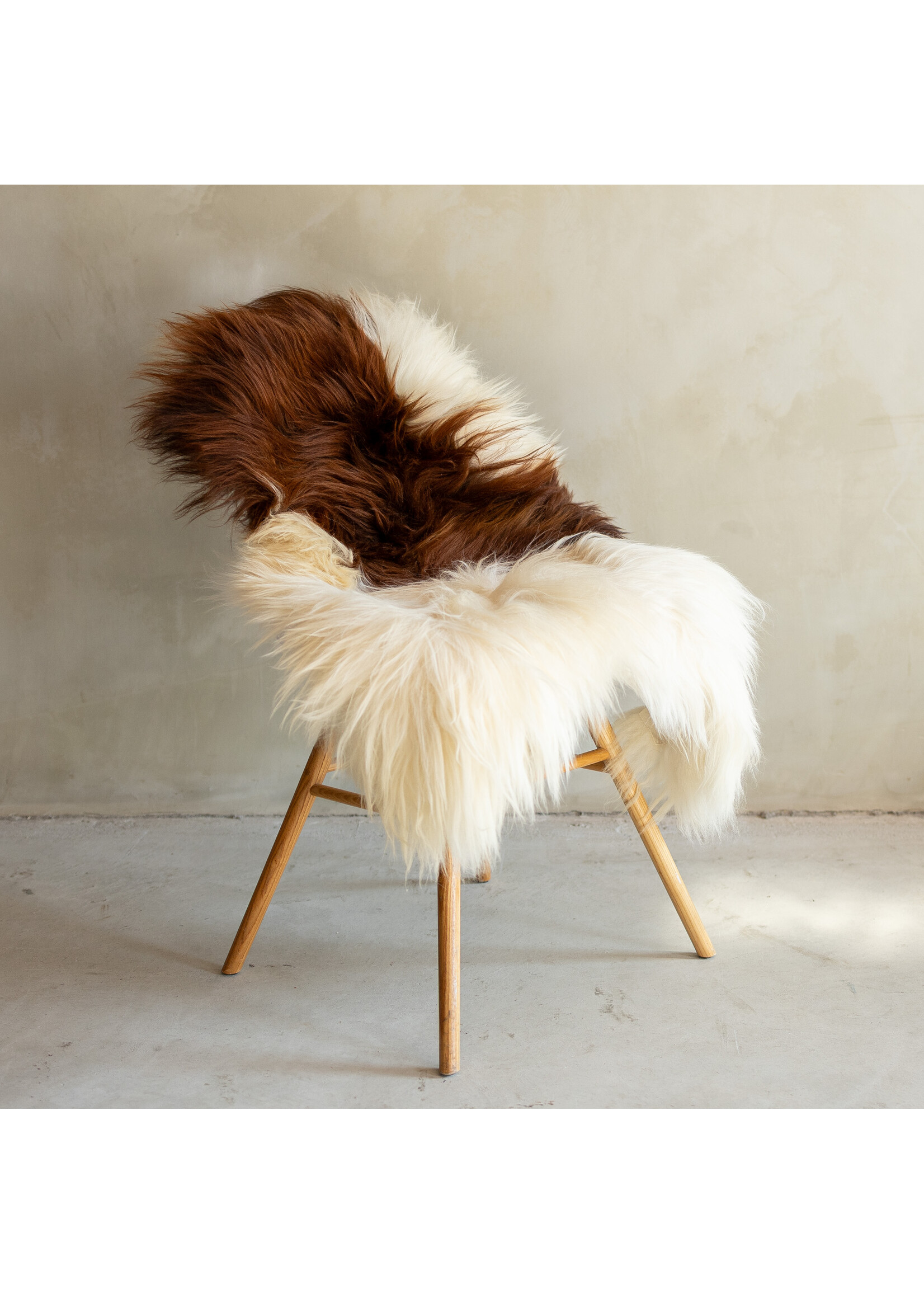 Van Buren sinds 1861 Einzeln fotografiertes isländisches Schaffell Braun Bunt - 119x69 - SVV-689