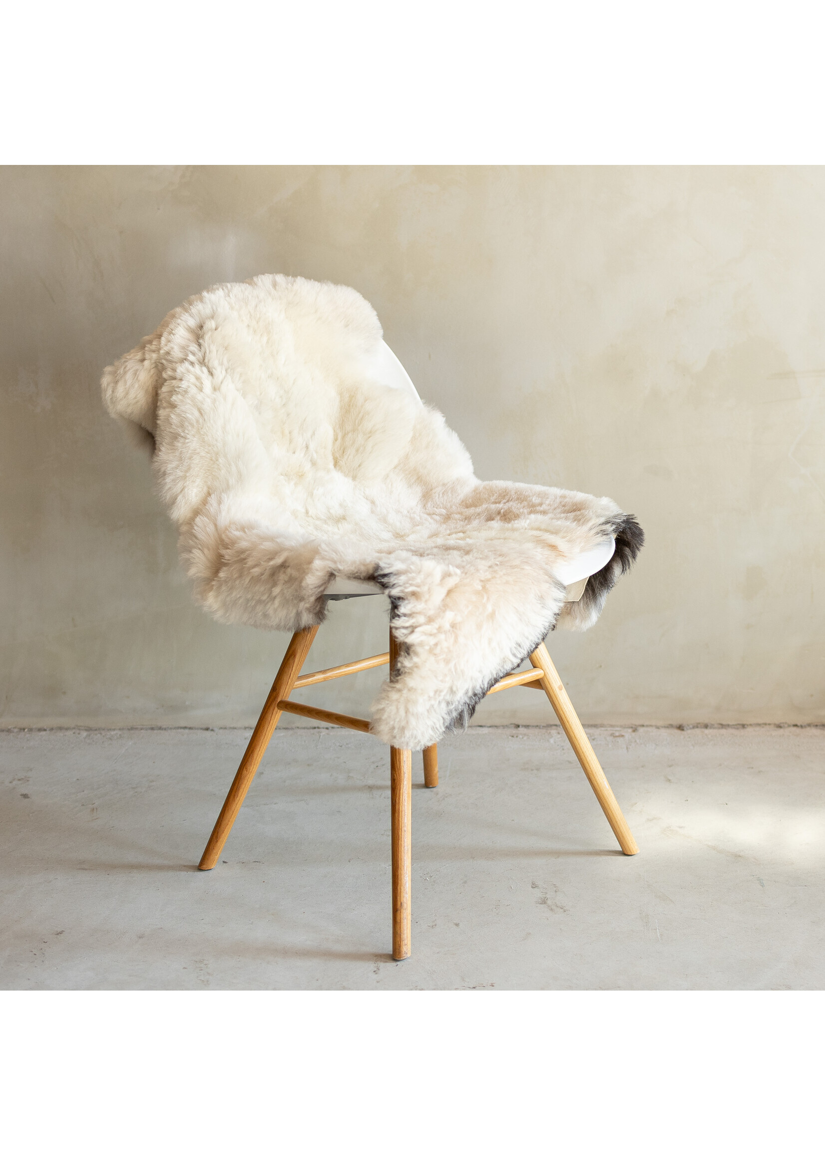 Van Buren sinds 1861 Uniek Gefotografeerd Geschoren IJslands Schapenvacht Beige - 110x62 - SVV-698