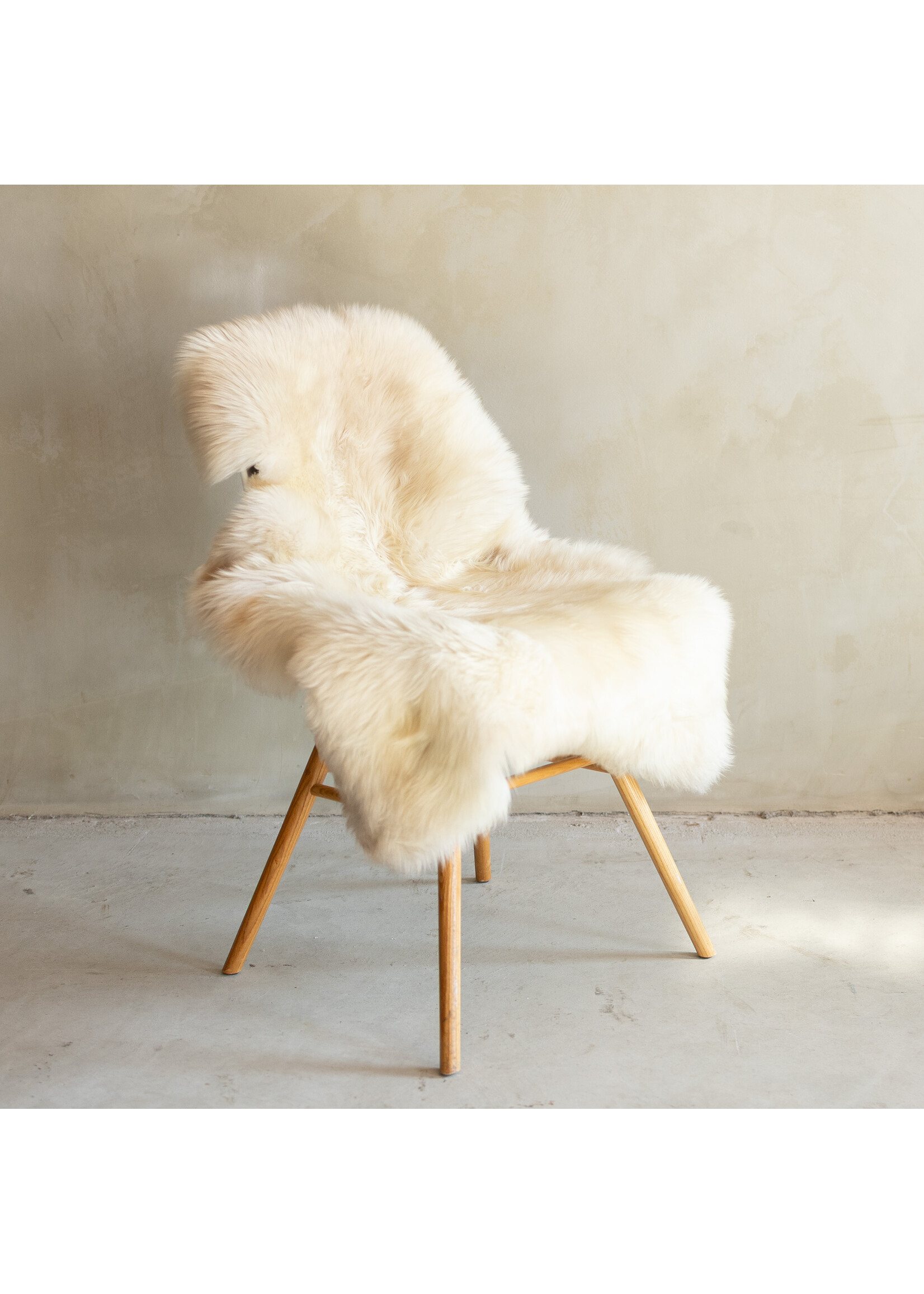 Van Buren sinds 1861 Einzeln fotografiertes deutsches Schwarzkopf-Schaffell - 103x63 - SVV-701