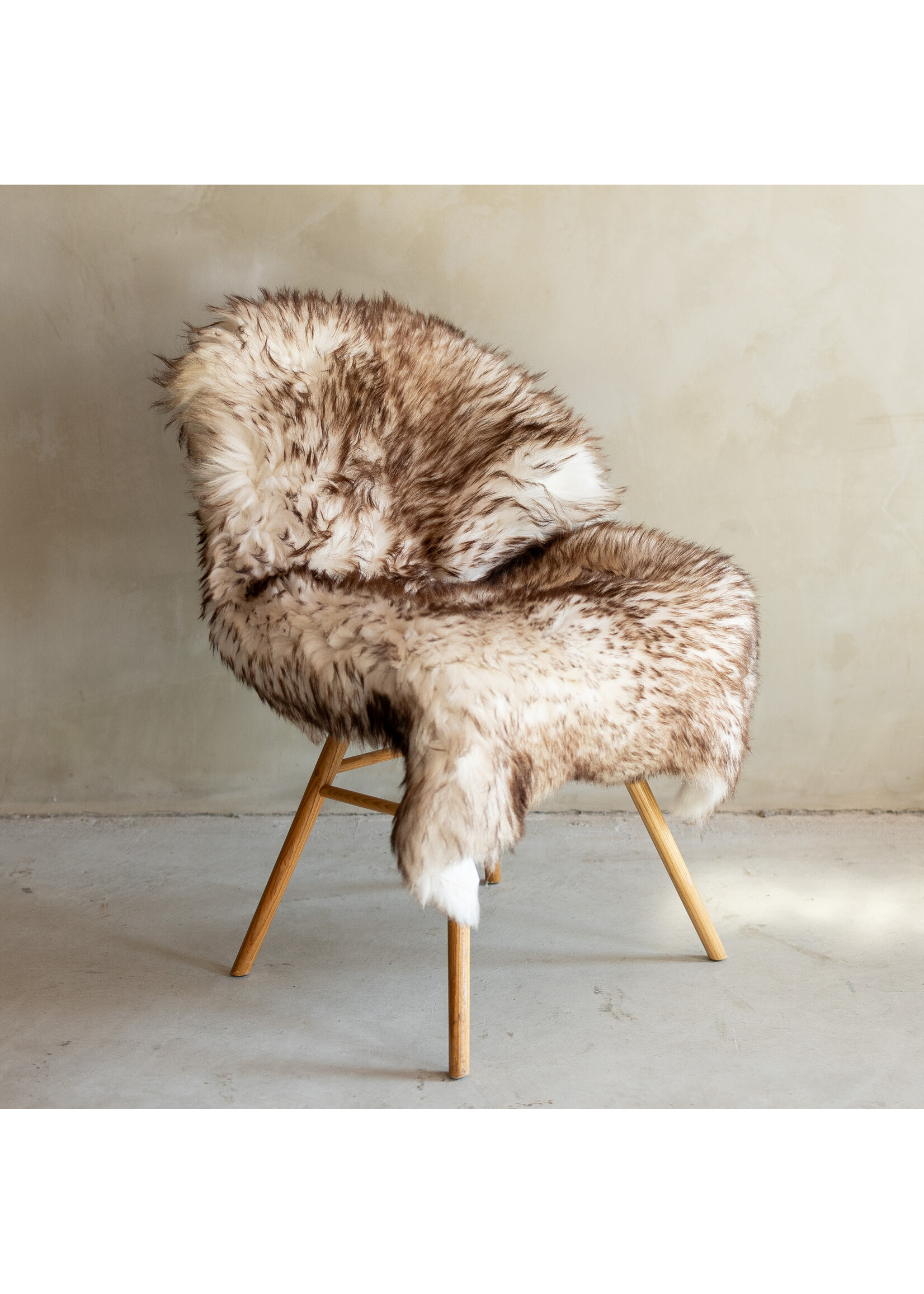 Van Buren sinds 1861 Uniek Gefotografeerd Mouflon Schapenvacht GR S - 123x68 - SVV-680