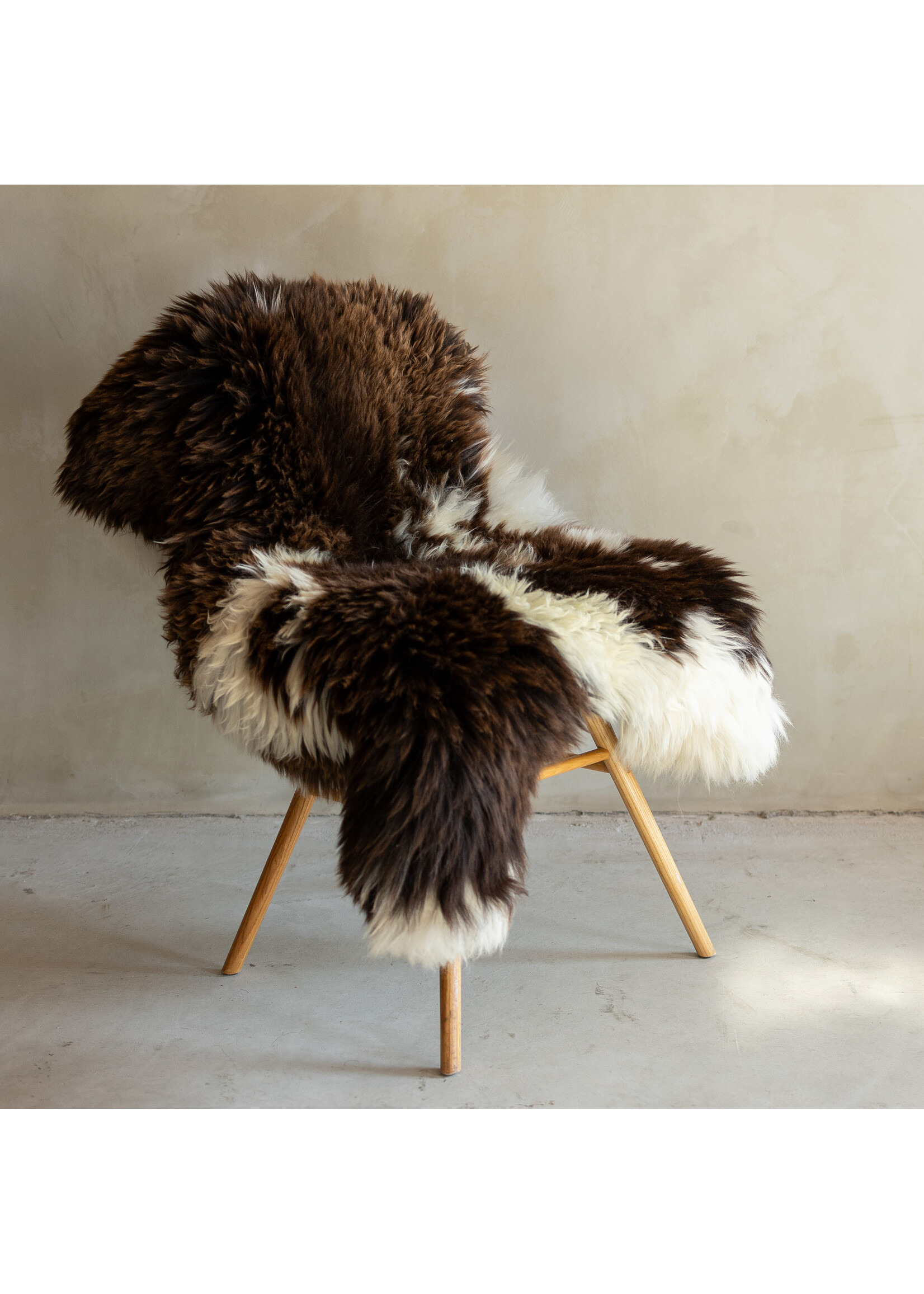 Van Buren sinds 1861 Einzeln fotografiertes Schaffell Meliert XXL - 122x77 - SVV-720