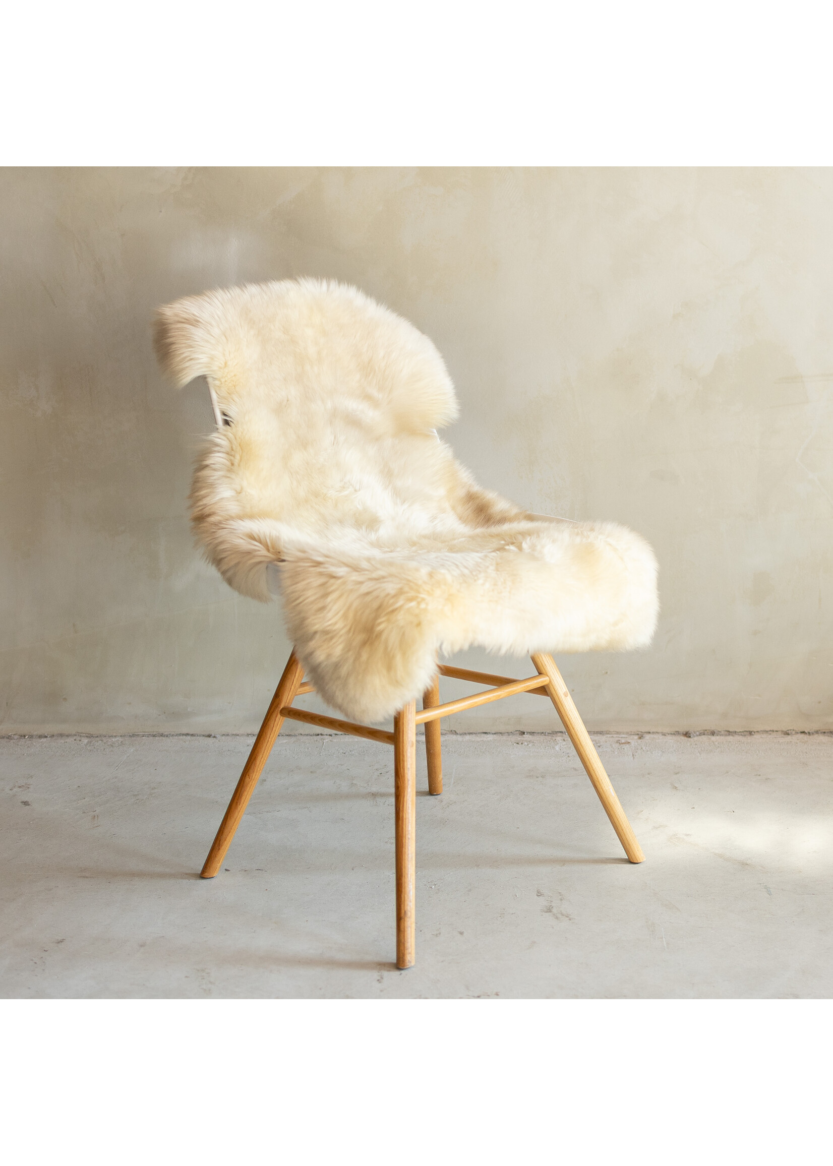 Van Buren sinds 1861 Uniek Gefotografeerd Duitse Zwartkop Schapenvacht - 112x53 - SVV-697