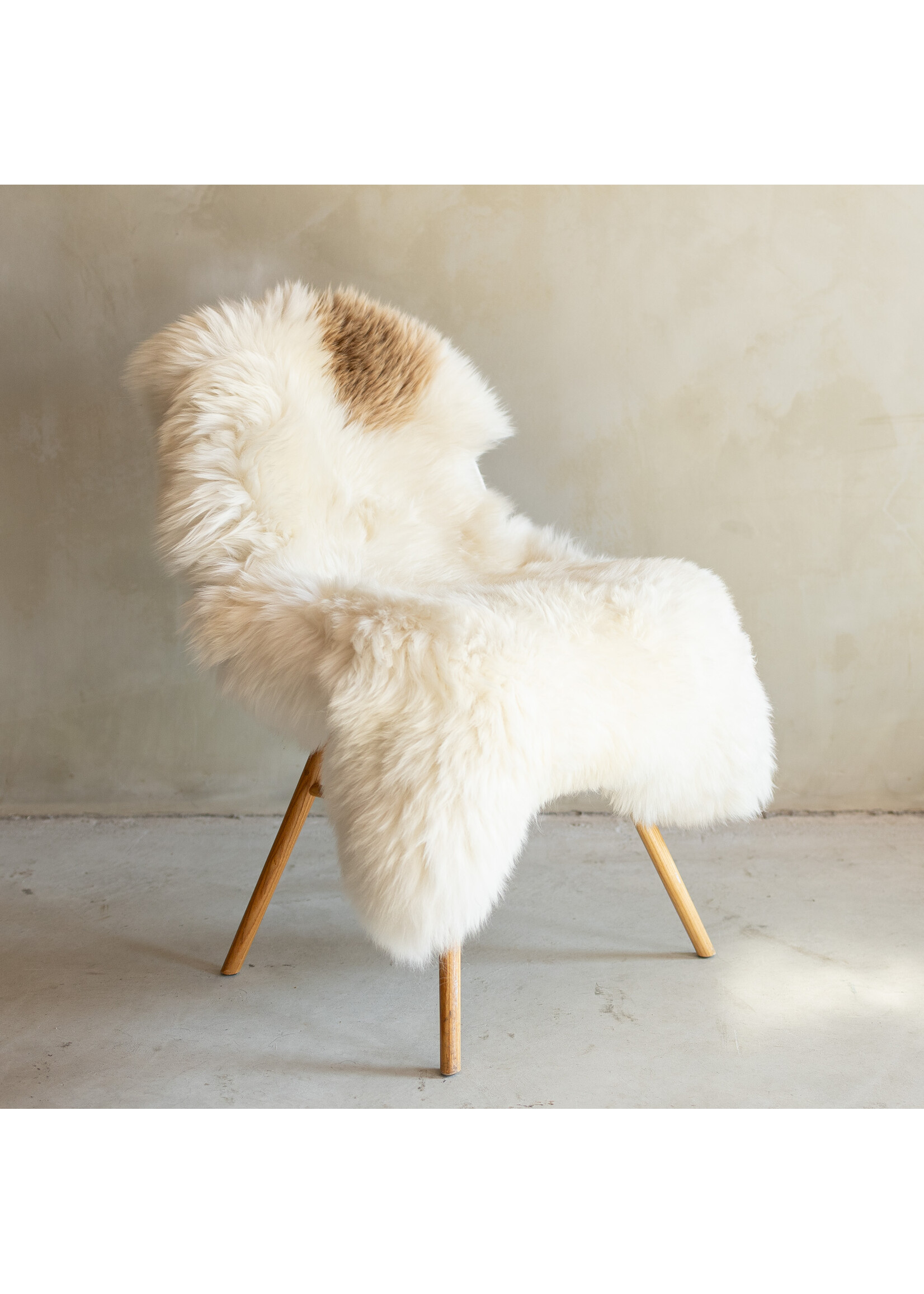 Van Buren sinds 1861 Einzeln fotografiertes Schaffell Meliert XXL - 124x65 - SVV-721