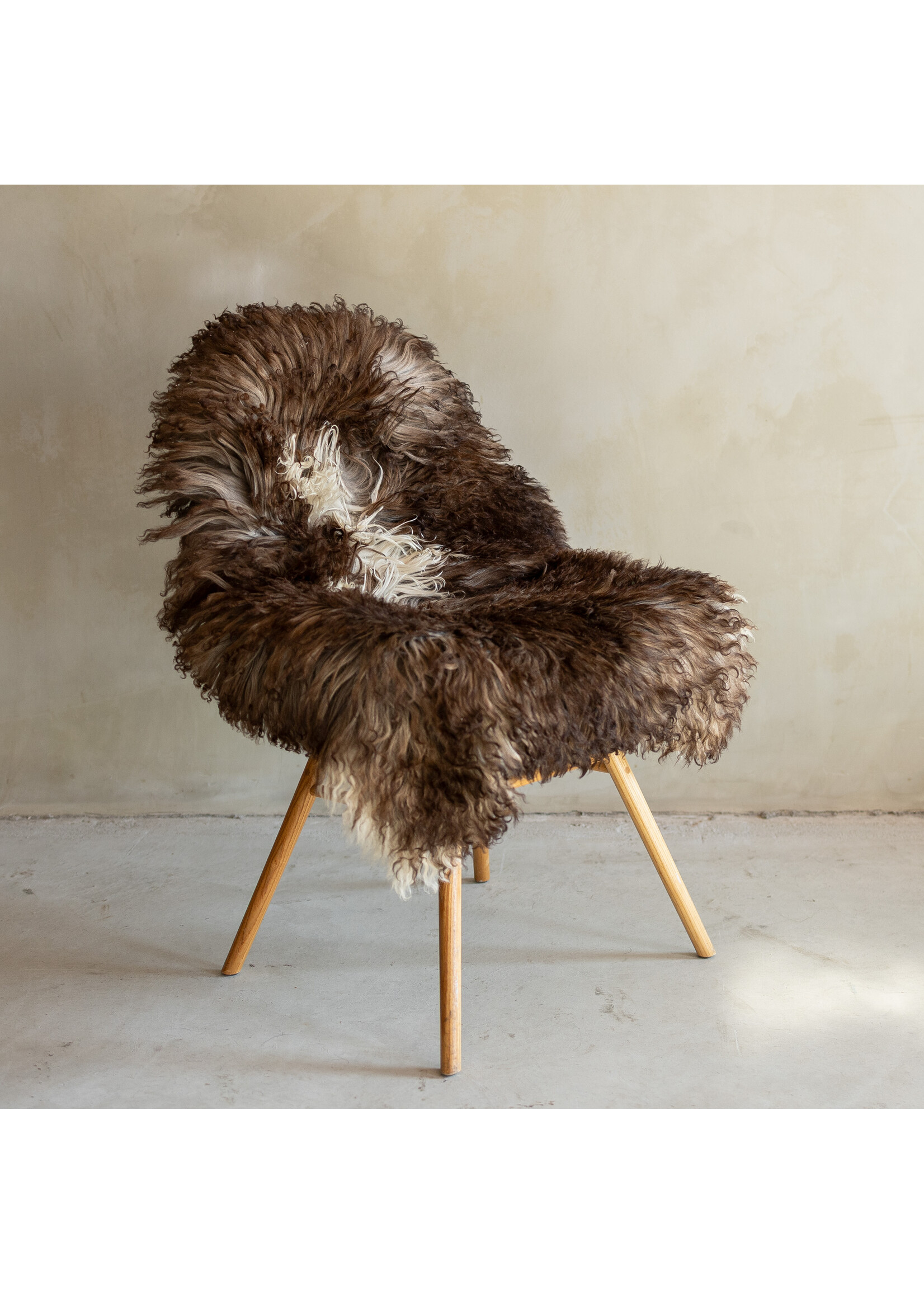 Van Buren sinds 1861 Uniek Gefotografeerd Krul/Bergschaap Schapenvacht - 104x65 - SVV-725