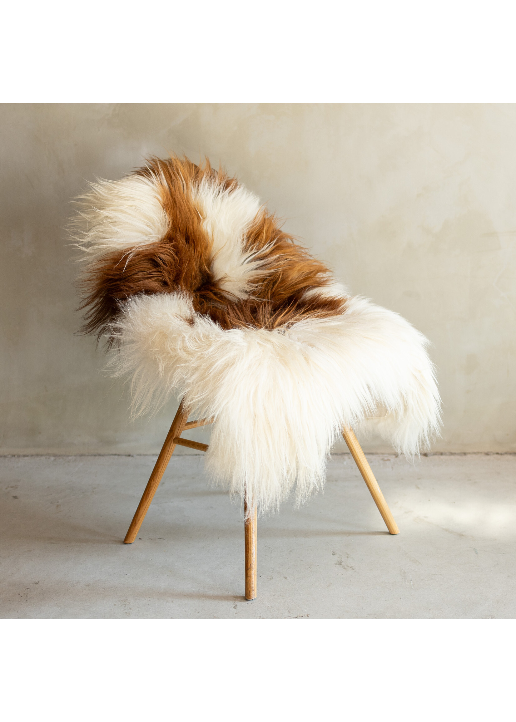 Van Buren sinds 1861 Uniek Gefotografeerd IJslands Schapenvacht Bruin Bont - 116x74 - SVV-693