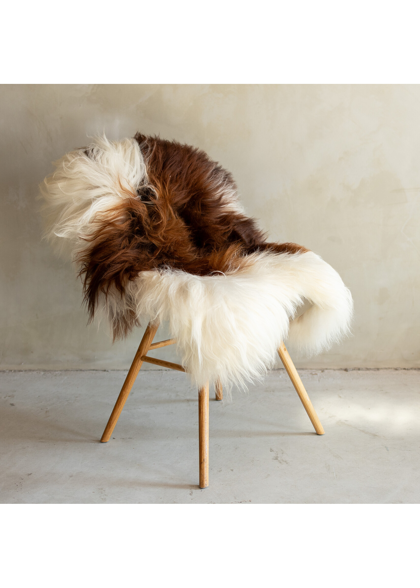 Van Buren sinds 1861 Uniek Gefotografeerd IJslands Schapenvacht Bruin Bont - 122x70 - SVV-686