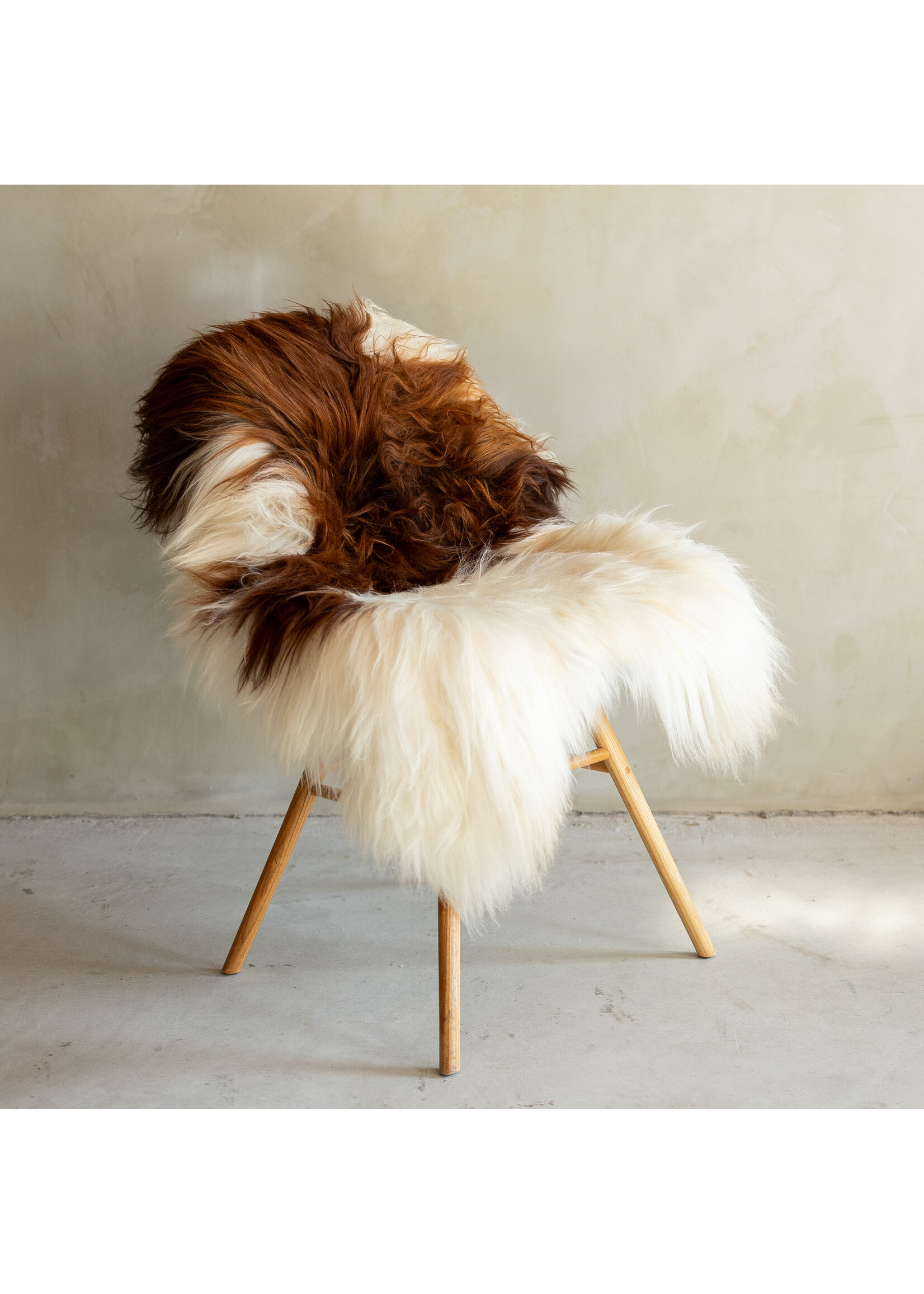 Van Buren sinds 1861 Uniek Gefotografeerd IJslands Schapenvacht Bruin Bont - 122x78 - SVV-687