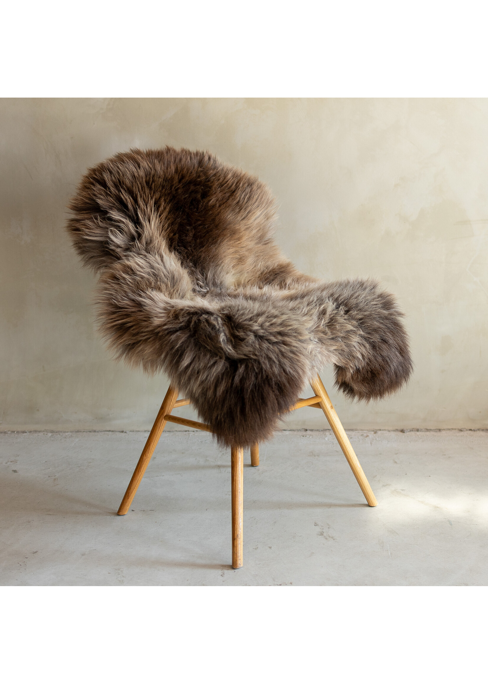 Van Buren sinds 1861 Einzeln fotografiertes Schaffell Meliert XXL - 116x71 - SVV-717