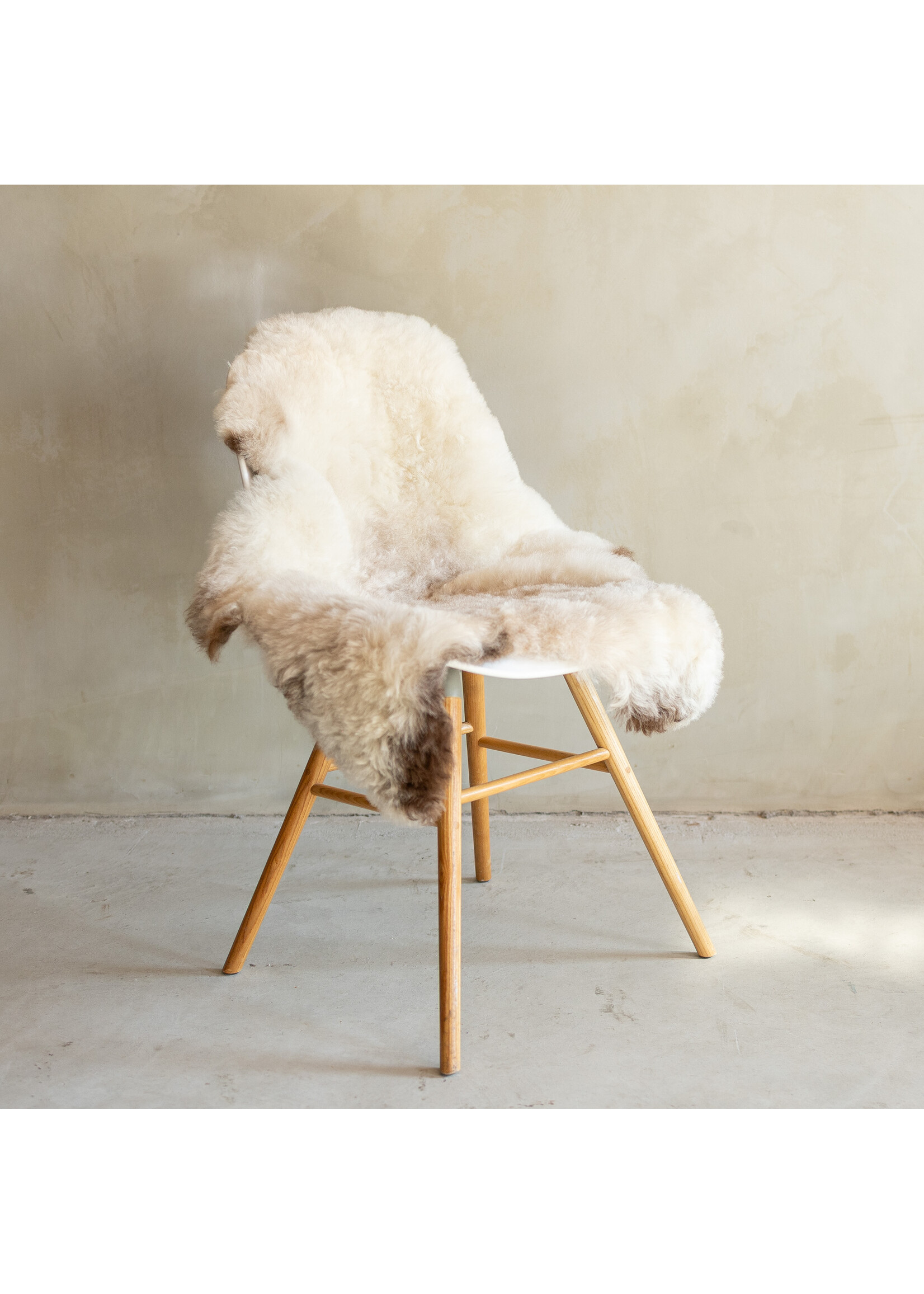 Van Buren sinds 1861 Uniek Gefotografeerd Geschoren IJslands Schapenvacht Beige - 104x58 - SVV-702