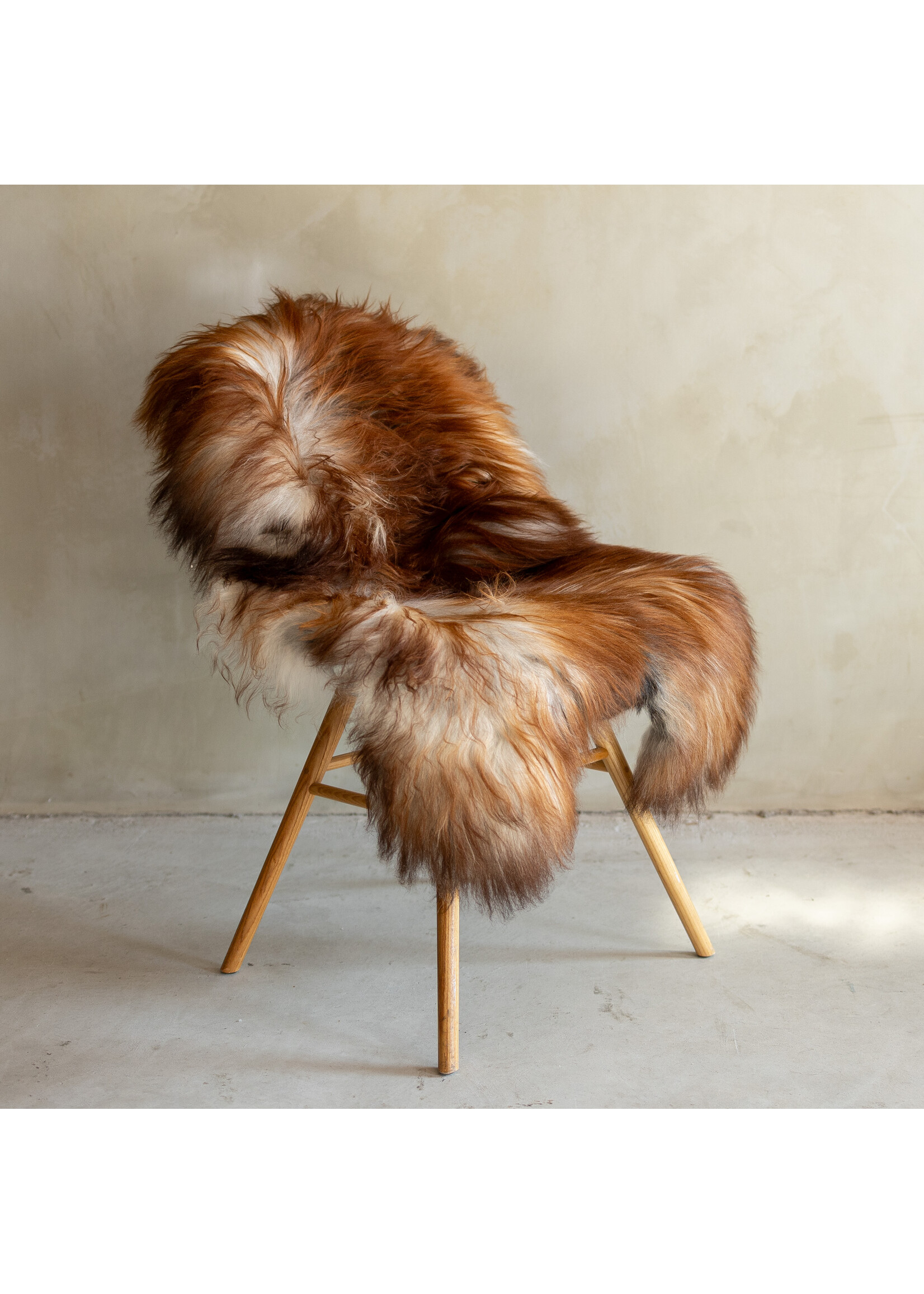 Van Buren sinds 1861 Uniek Gefotografeerd IJslands Schapenvacht Bruin Bont - 128x68 - SVV-685