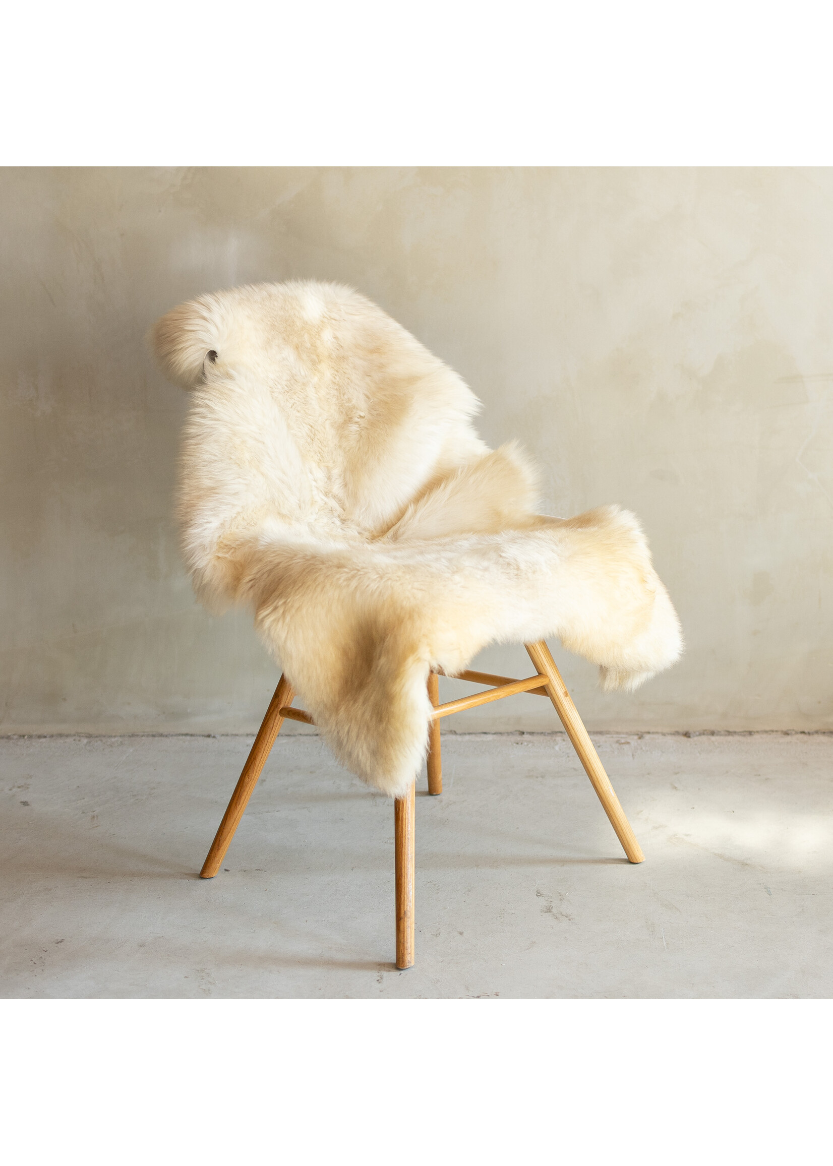 Van Buren sinds 1861 Einzeln fotografiertes deutsches Schwarzkopf-Schaffell - 126x70 - SVV-695