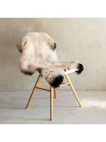 Van Buren sinds 1861 Unikat geschorenes isländisches Schaffell Beige - SVV-699