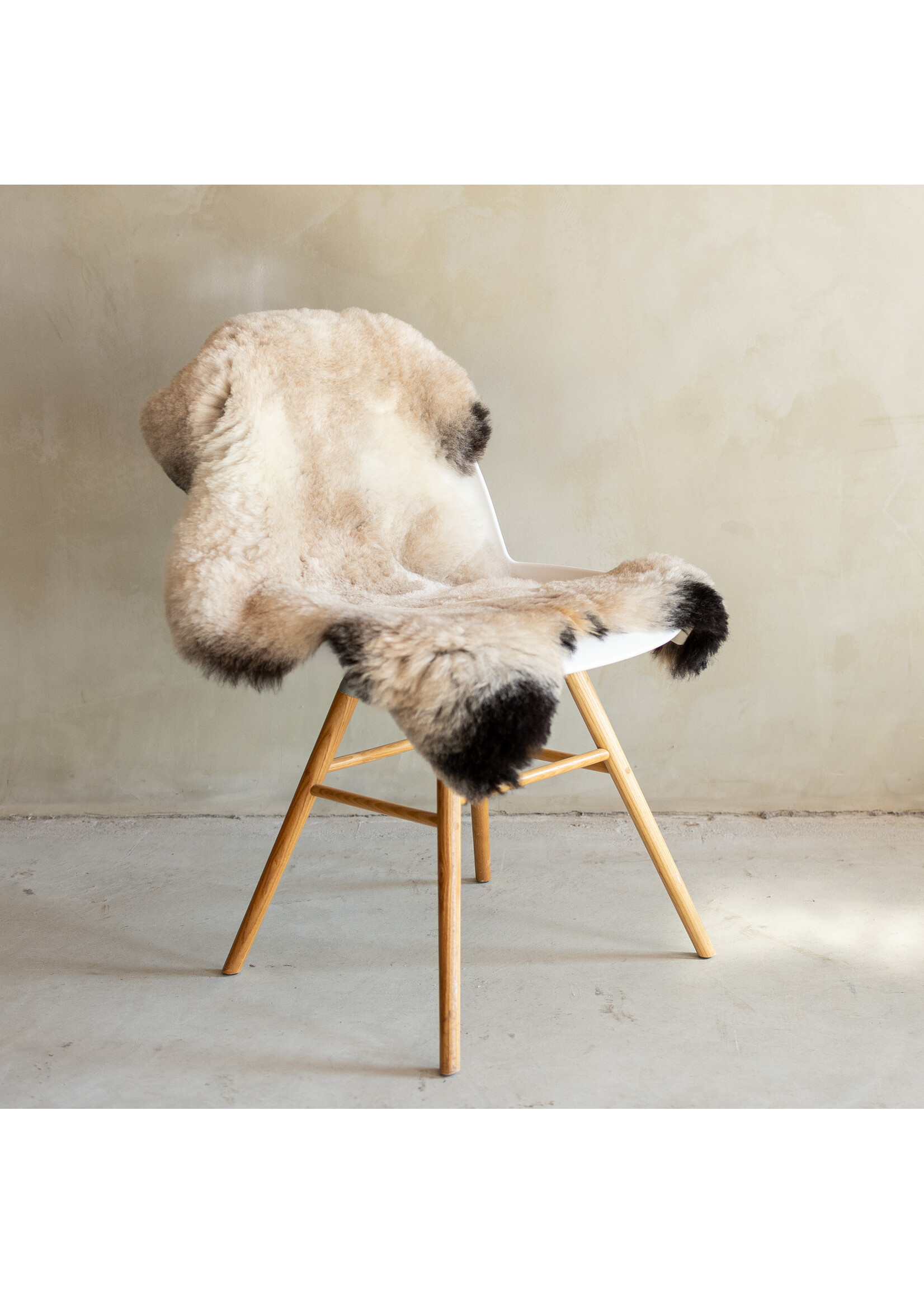 Van Buren sinds 1861 Uniek Gefotografeerd Geschoren IJslands Schapenvacht Beige - 105x57 - SVV-699